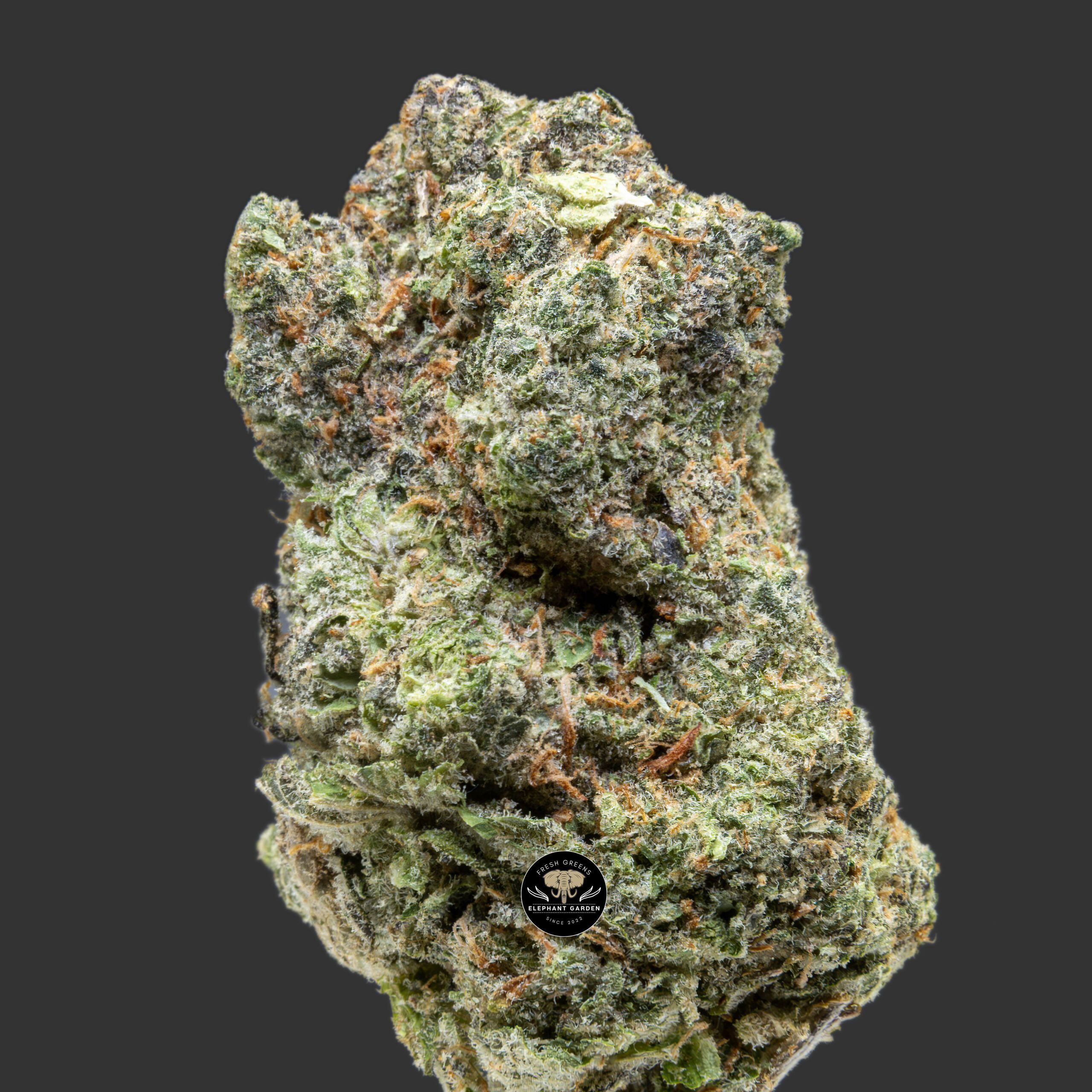 Buy Ice Cream Cookies at Elephant Garden Co Weed Dispensary Close 11_22_2023 3