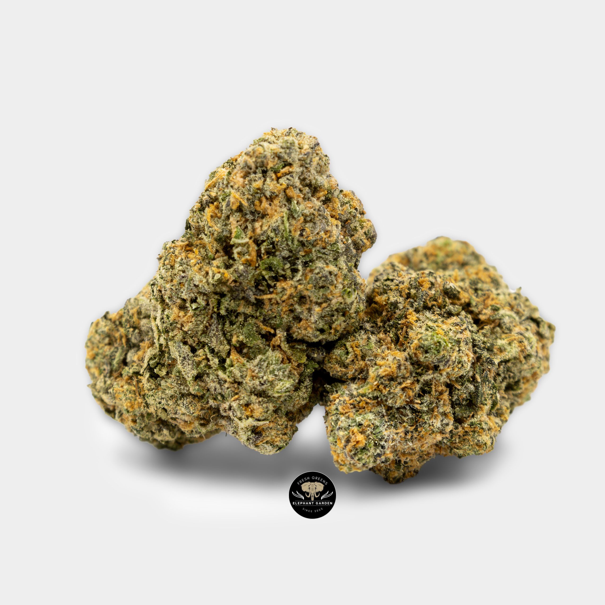 Buy Berry Gelato at Elephant Garden Co Weed Dispensary Bundle 7.20.2023