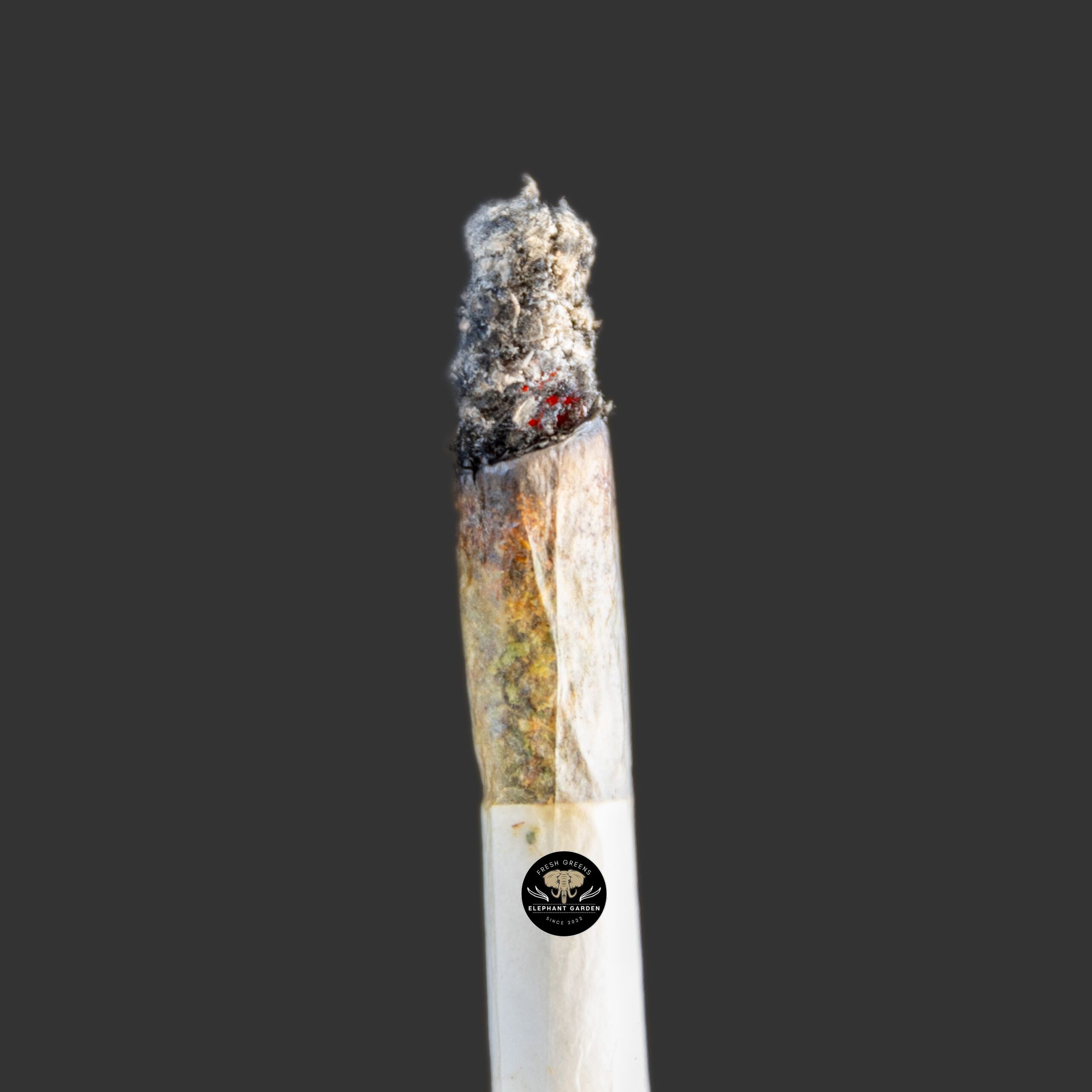 Buy Berry Gelato at Elephant Garden Co Weed Dispensary Burn Test