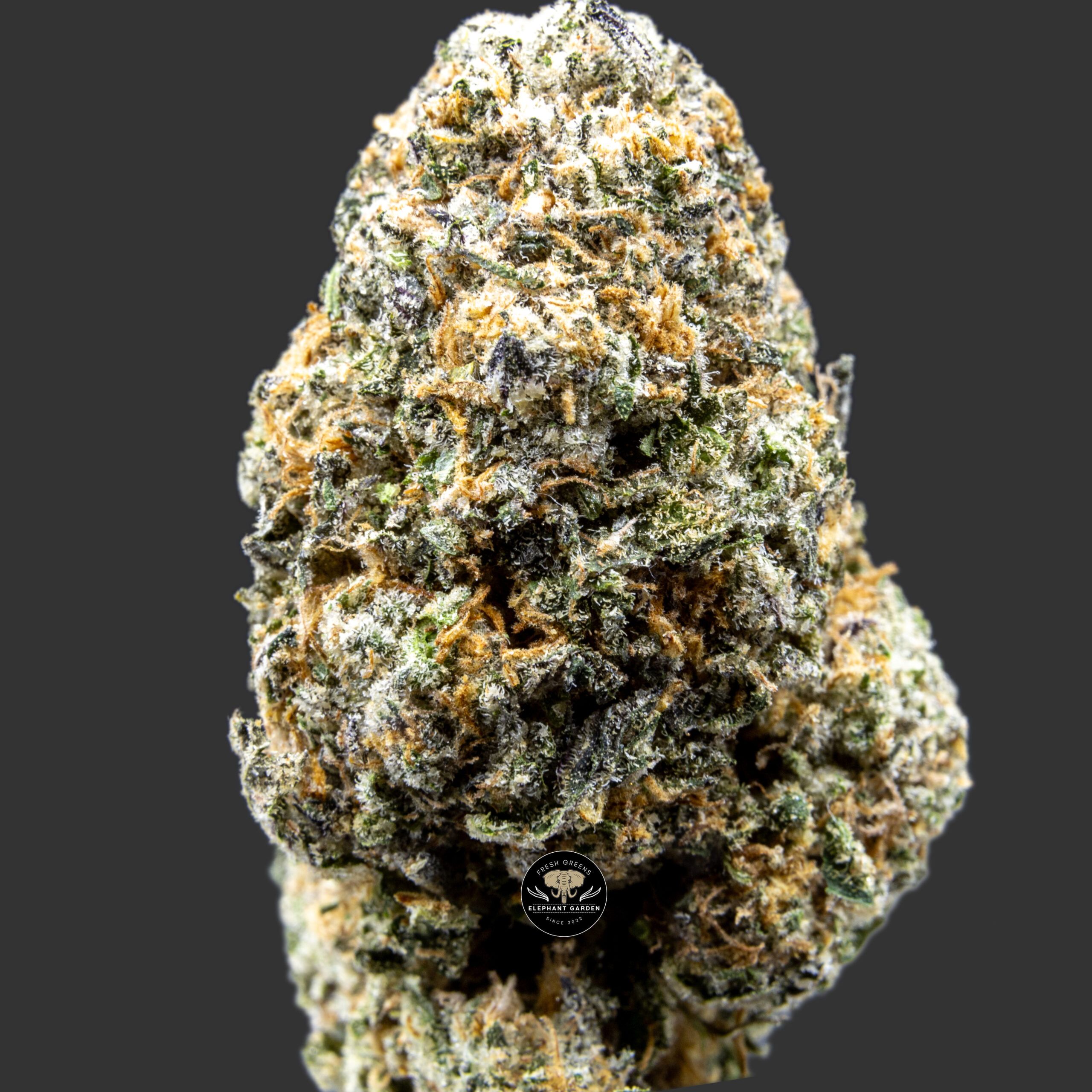 Buy Berry Gelato at Elephant Garden Co Weed Dispensary Close 7.21.2023 Email