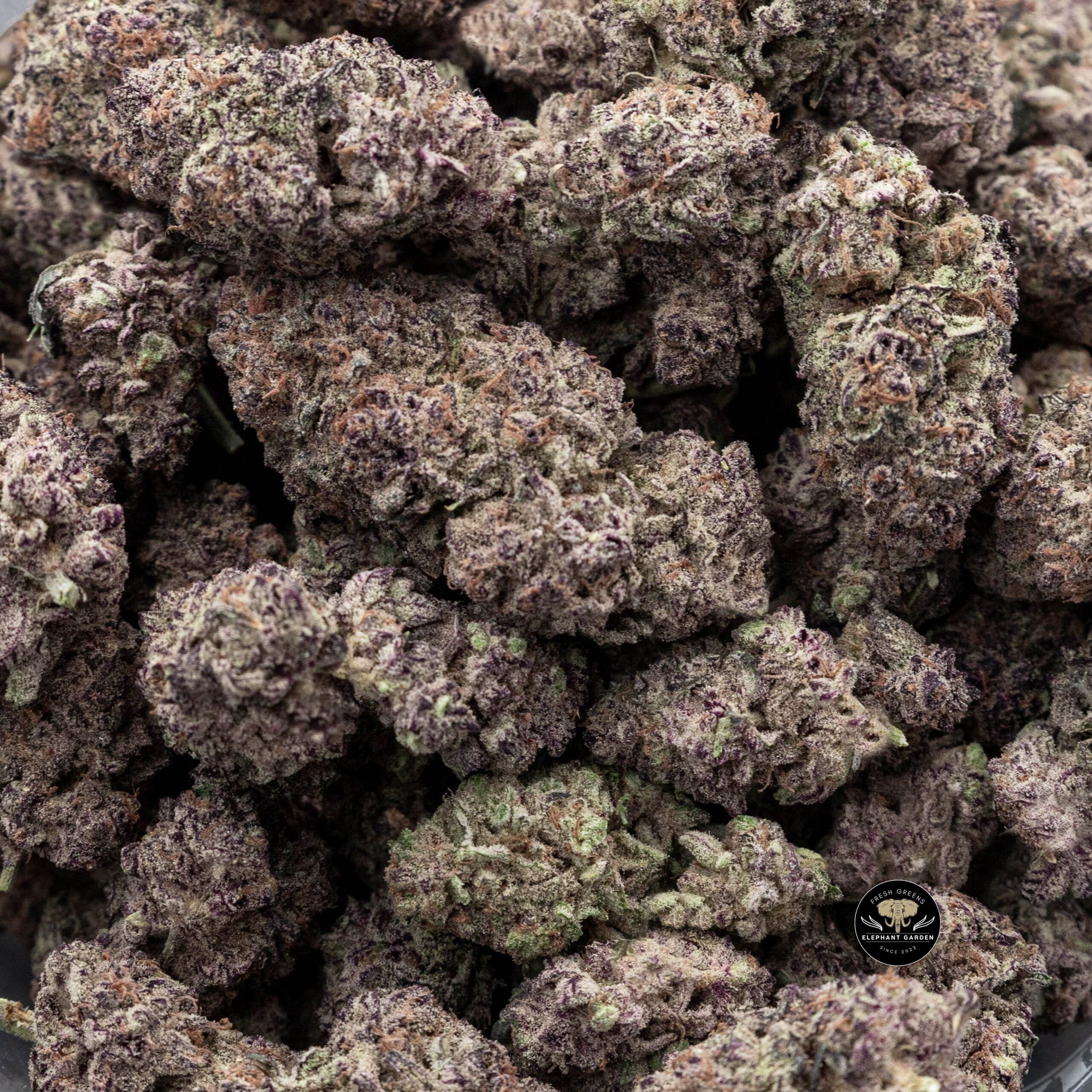 Xhale - Hybrid - AAAA - Image 3
