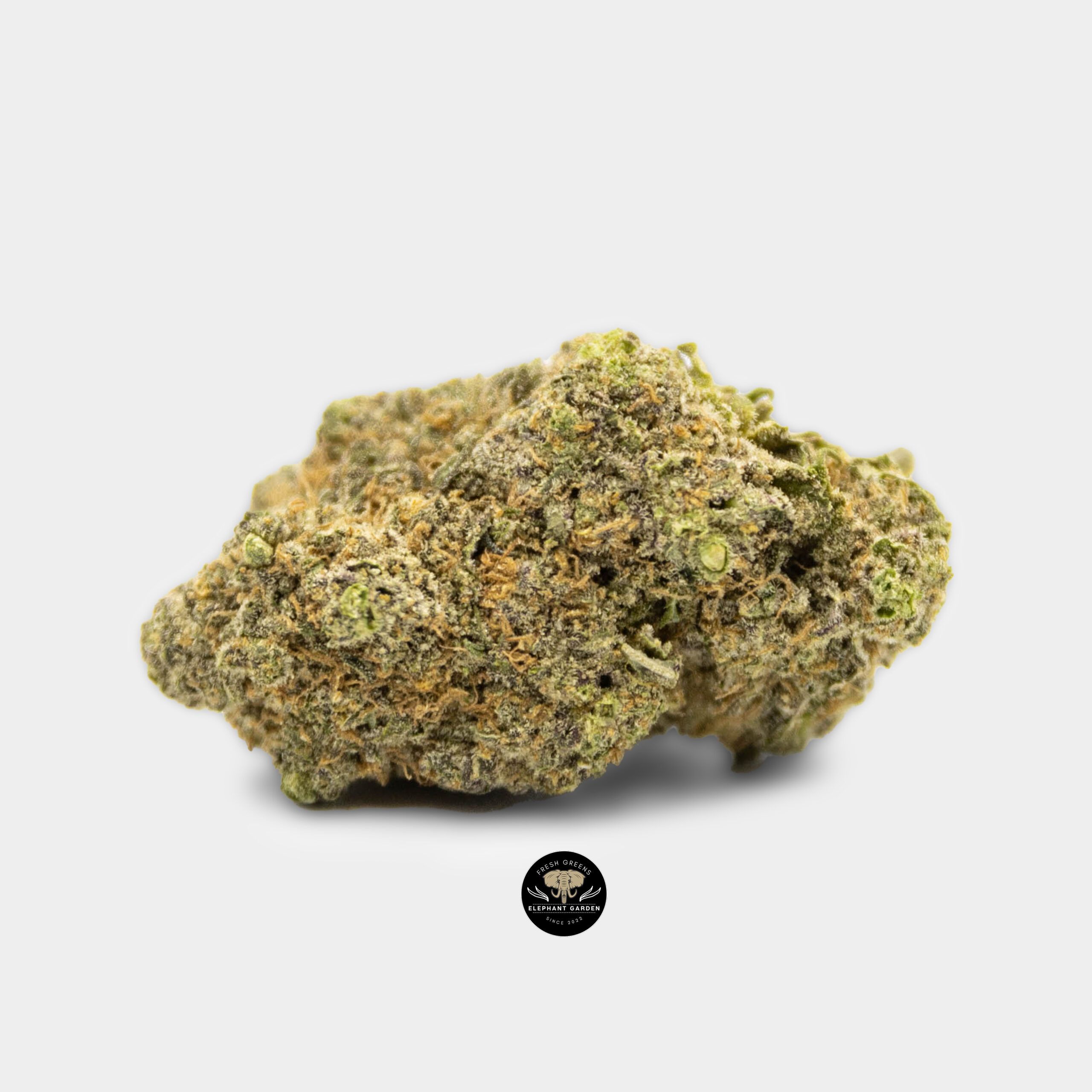 Northern Lights - Indica - AAA+ - Image 2