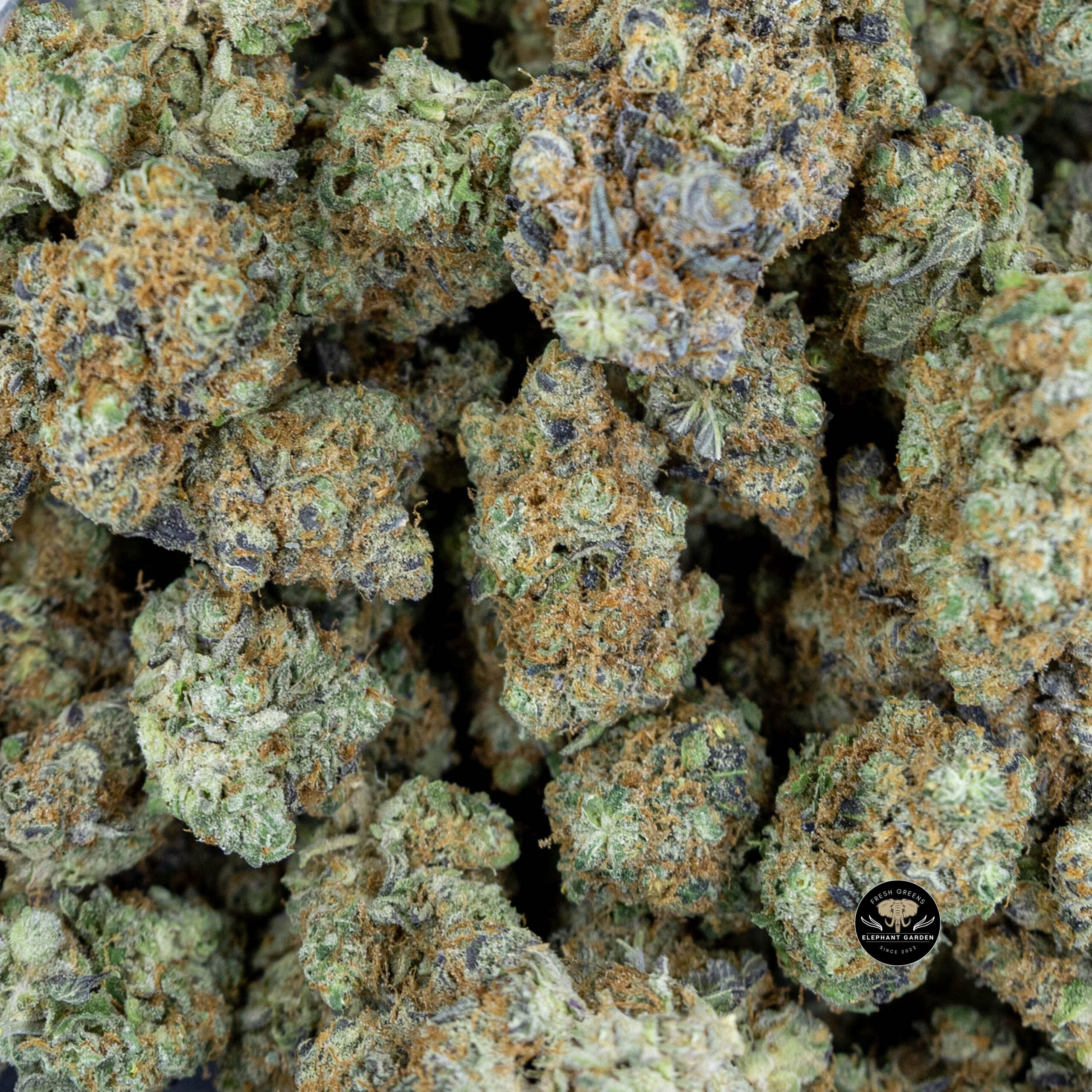 Puta Breath (Bulk) - Hybrid - Craft - AAA+