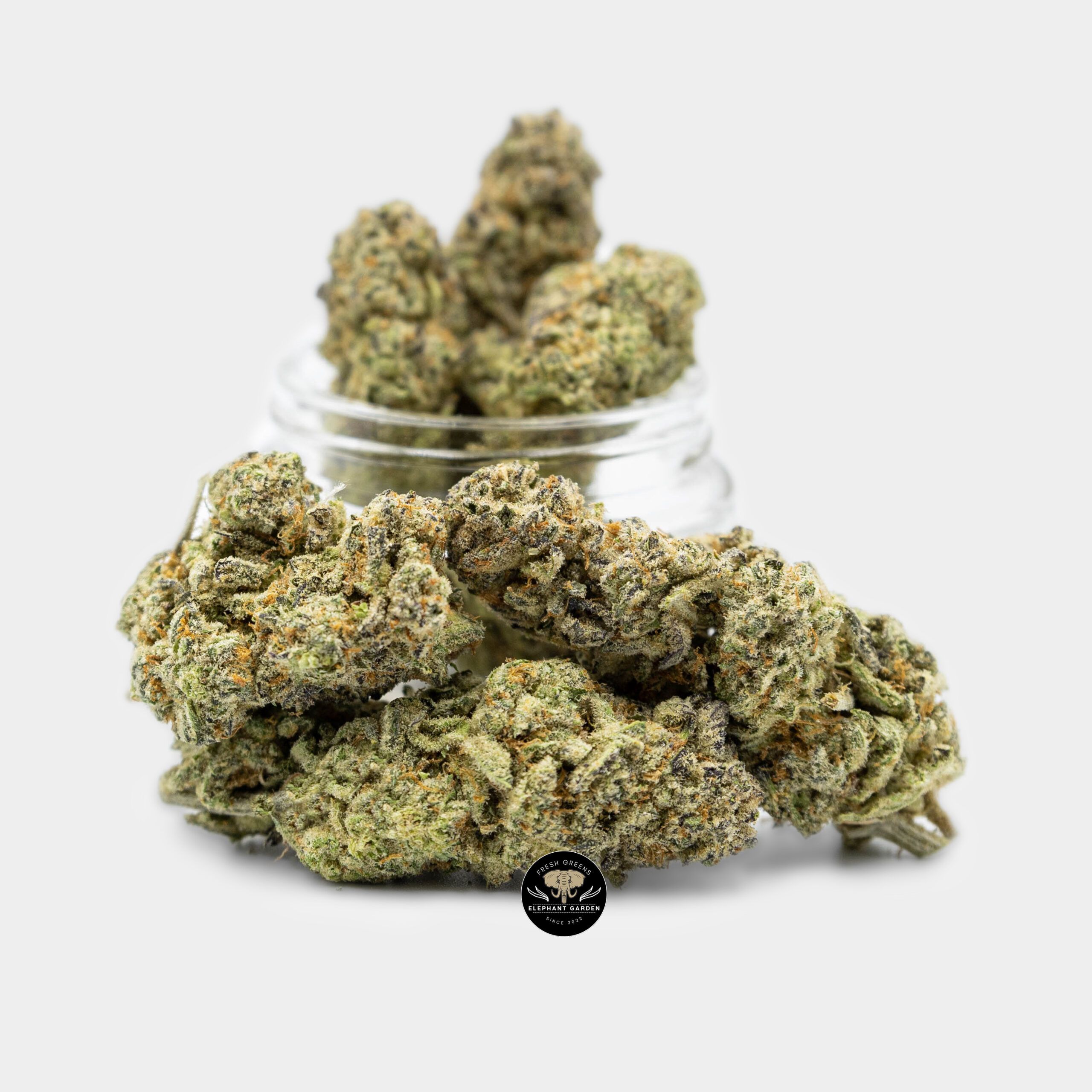 White Zombie - Hybrid - AAA+