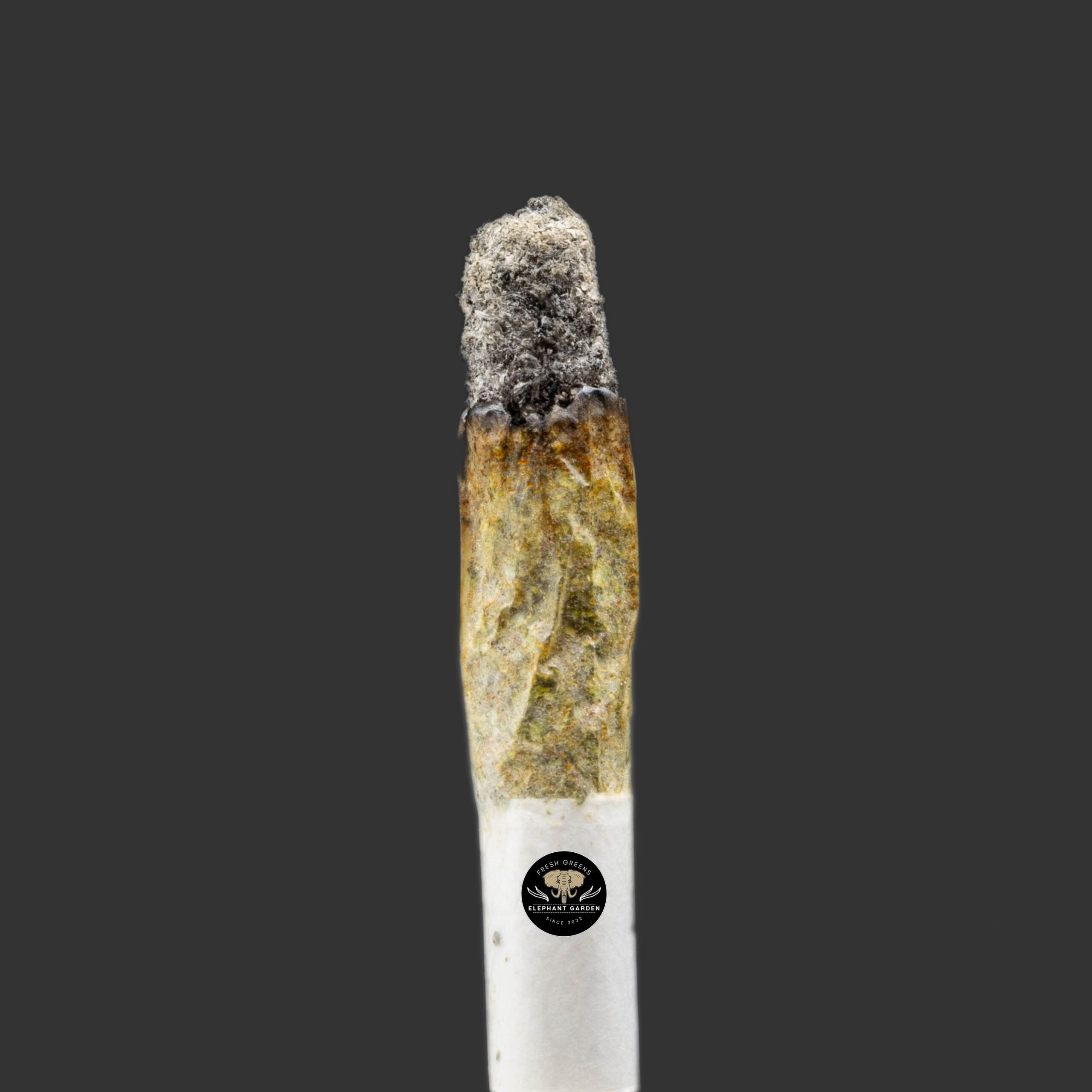 Buy Maui Berry at Elephant Garden Co Weed Dispensary Burn Test 6.23.2023