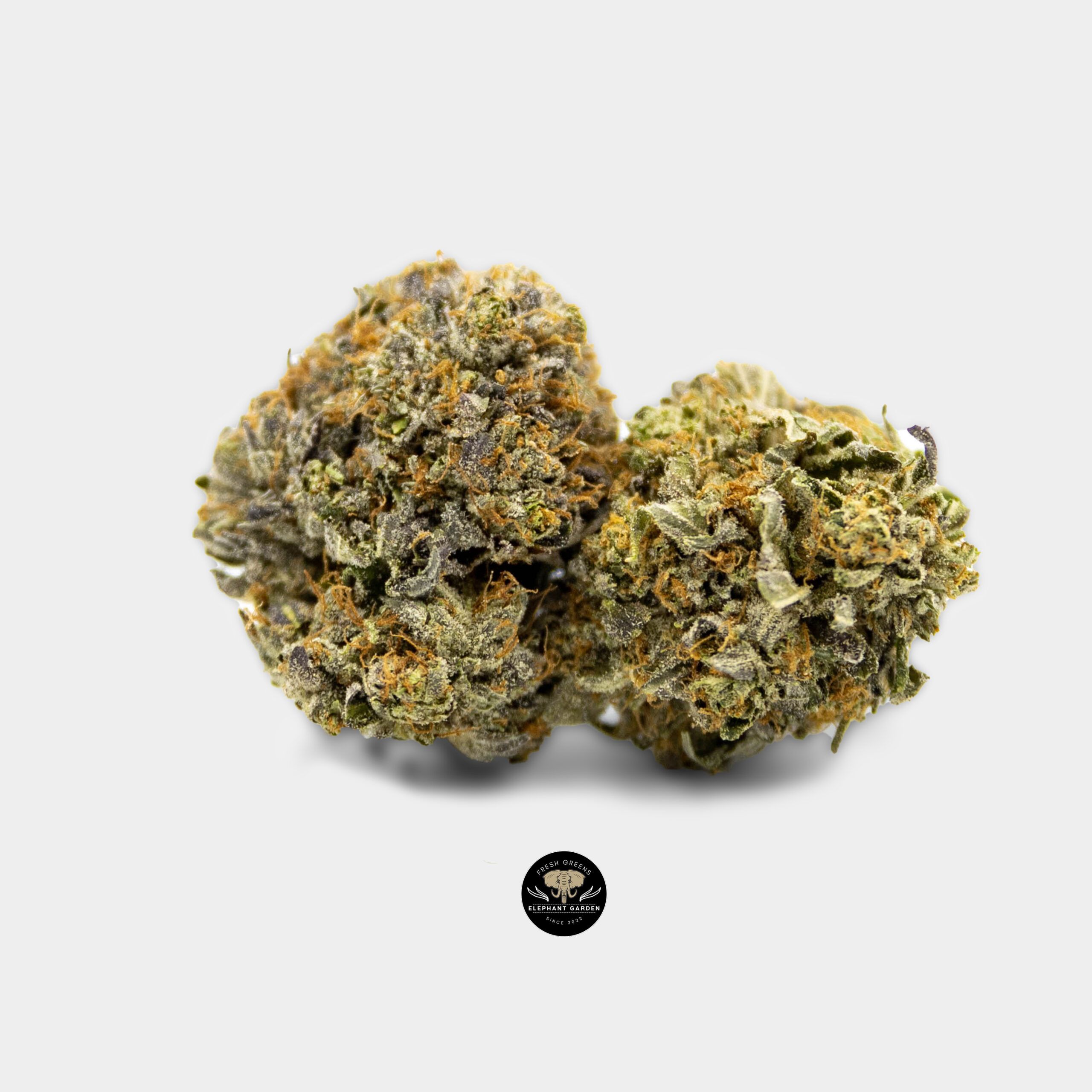 Buy Pink Kush at Elephant Garden Co Weed Dispensary Online Canada Bundle
