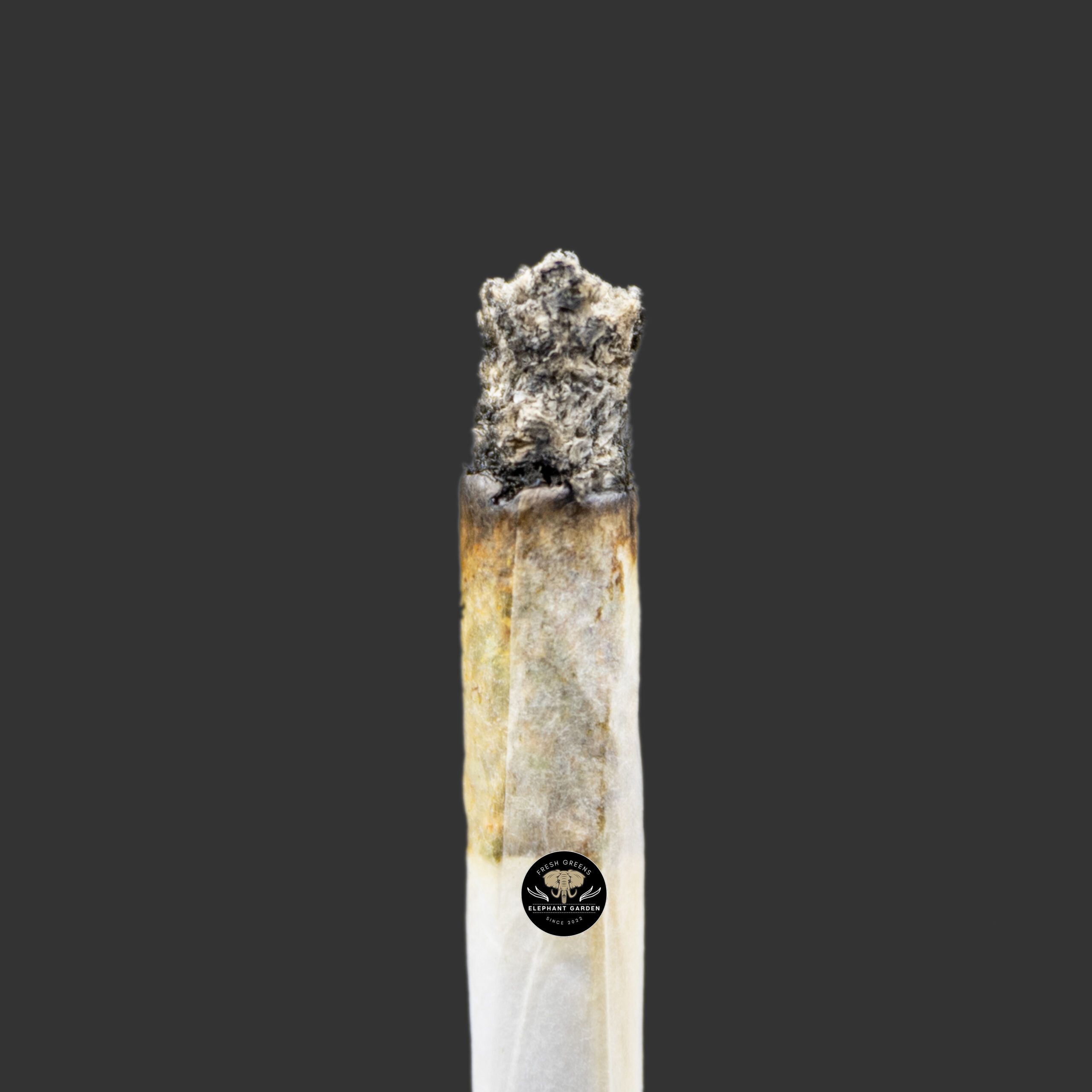 Cherry Kush - Hybrid - AAA+ - Image 2