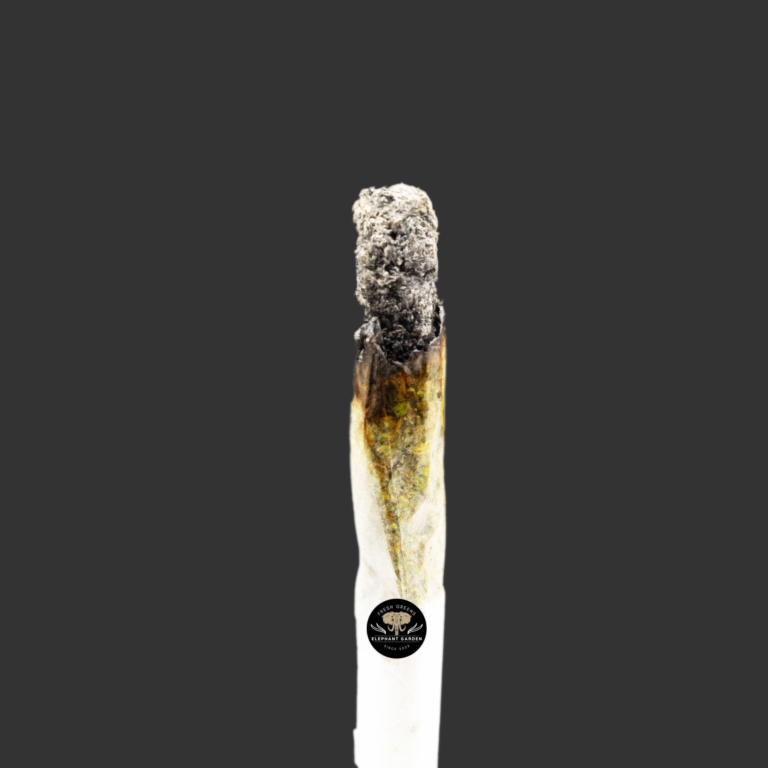 Buy Gary Payton at Elephant Garden Co Weed Dispensary Burn Test 2 6.23.2023