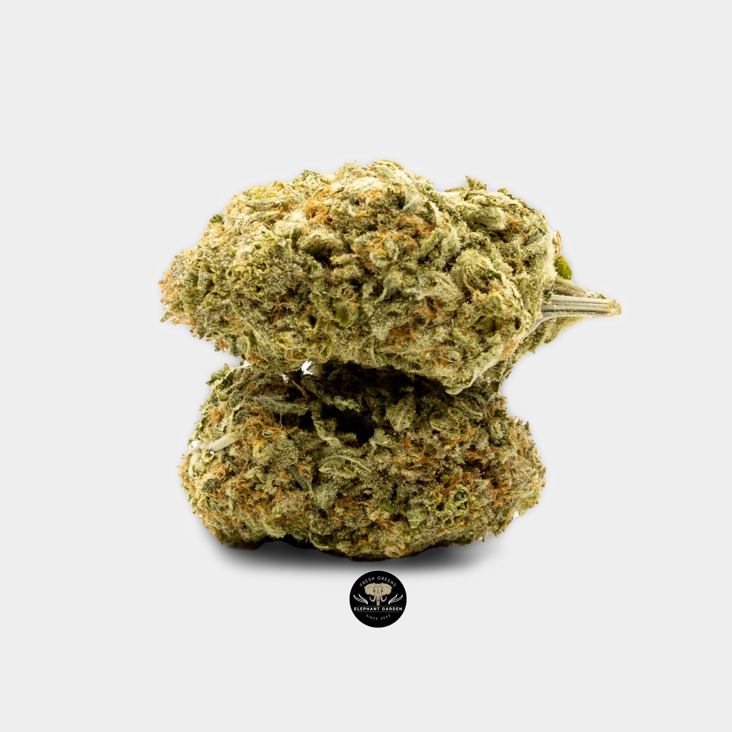 Buy Silver Haze at Elephant Garden Co Weed Dispensary Bundle