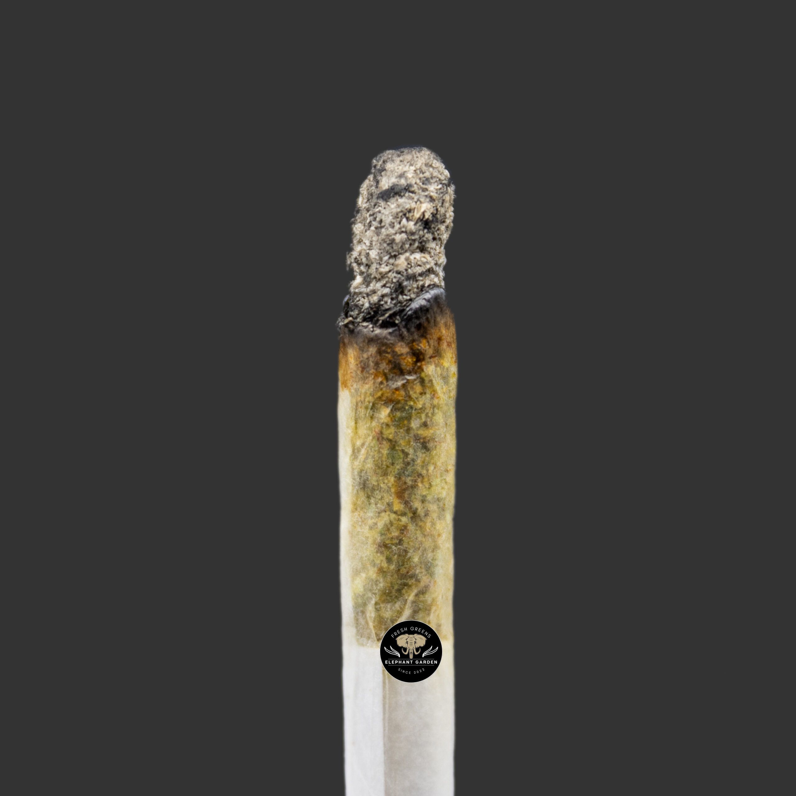 Buy Silver Haze at Elephant Garden Co Weed Dispensary Burn Test 2