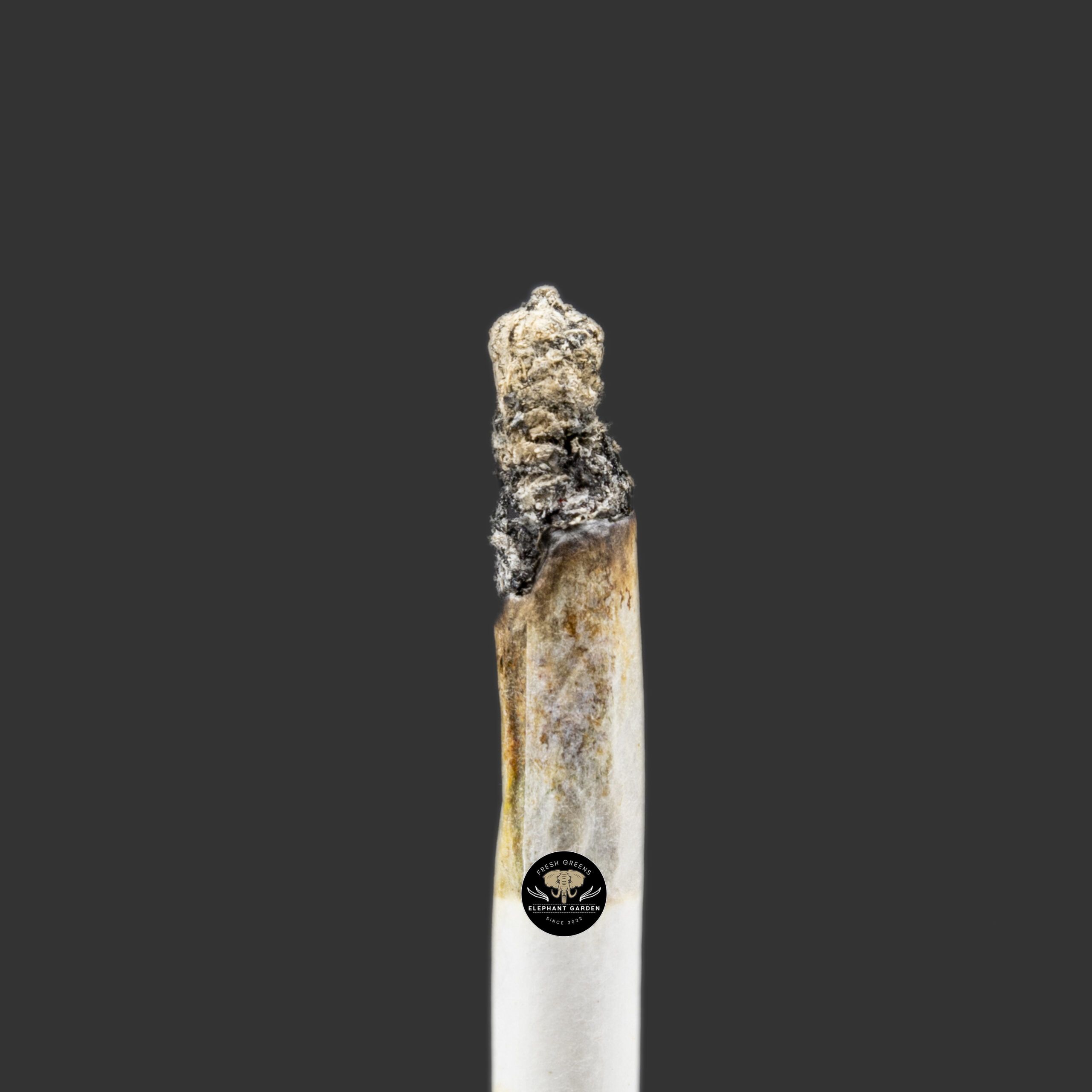 Buy Spec Ops at Elephant Garden Co Weed Dispensary Burn Test 2