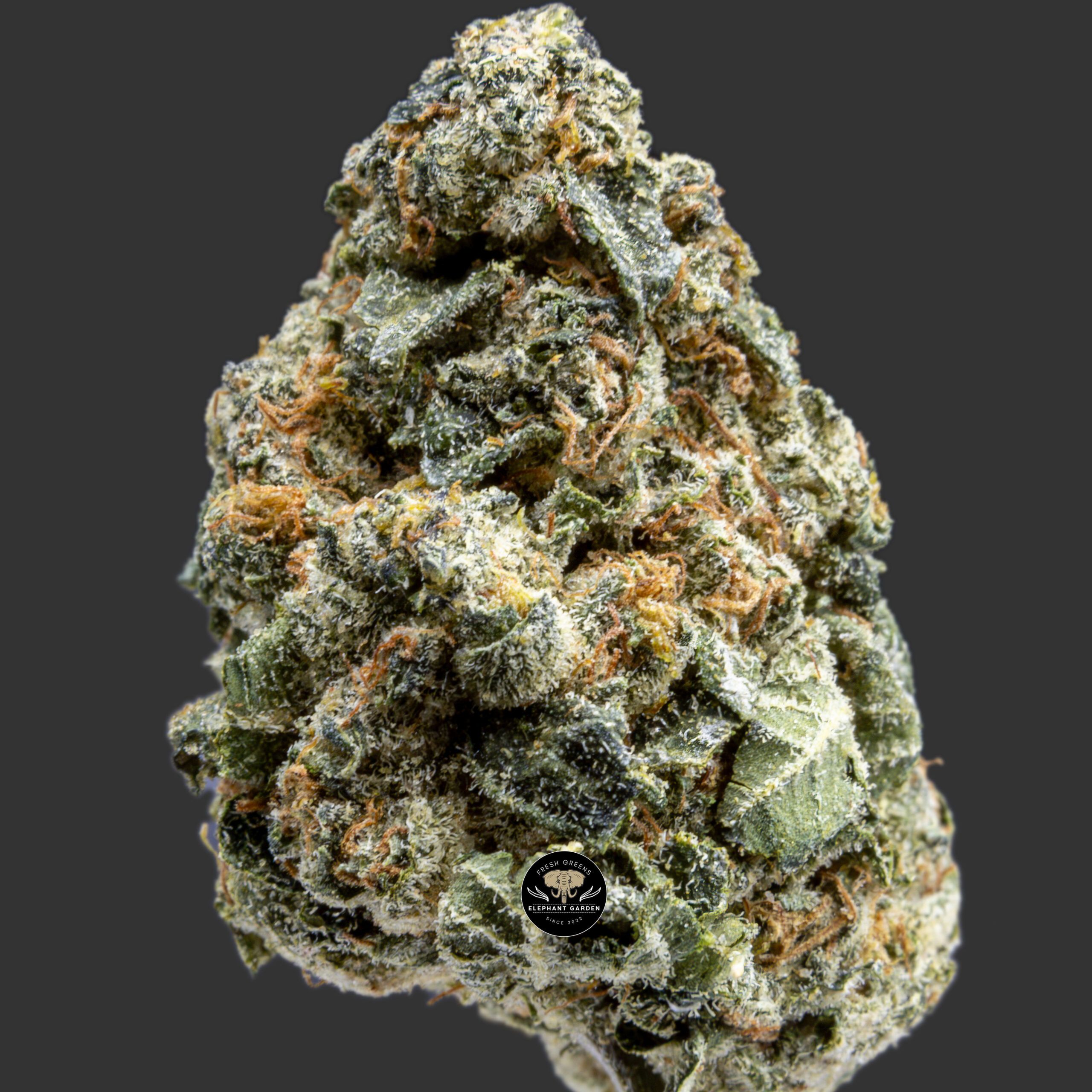 Buy Jungle Cake at Elephant Garden Co Weed Dispensary Close 7.25.2023