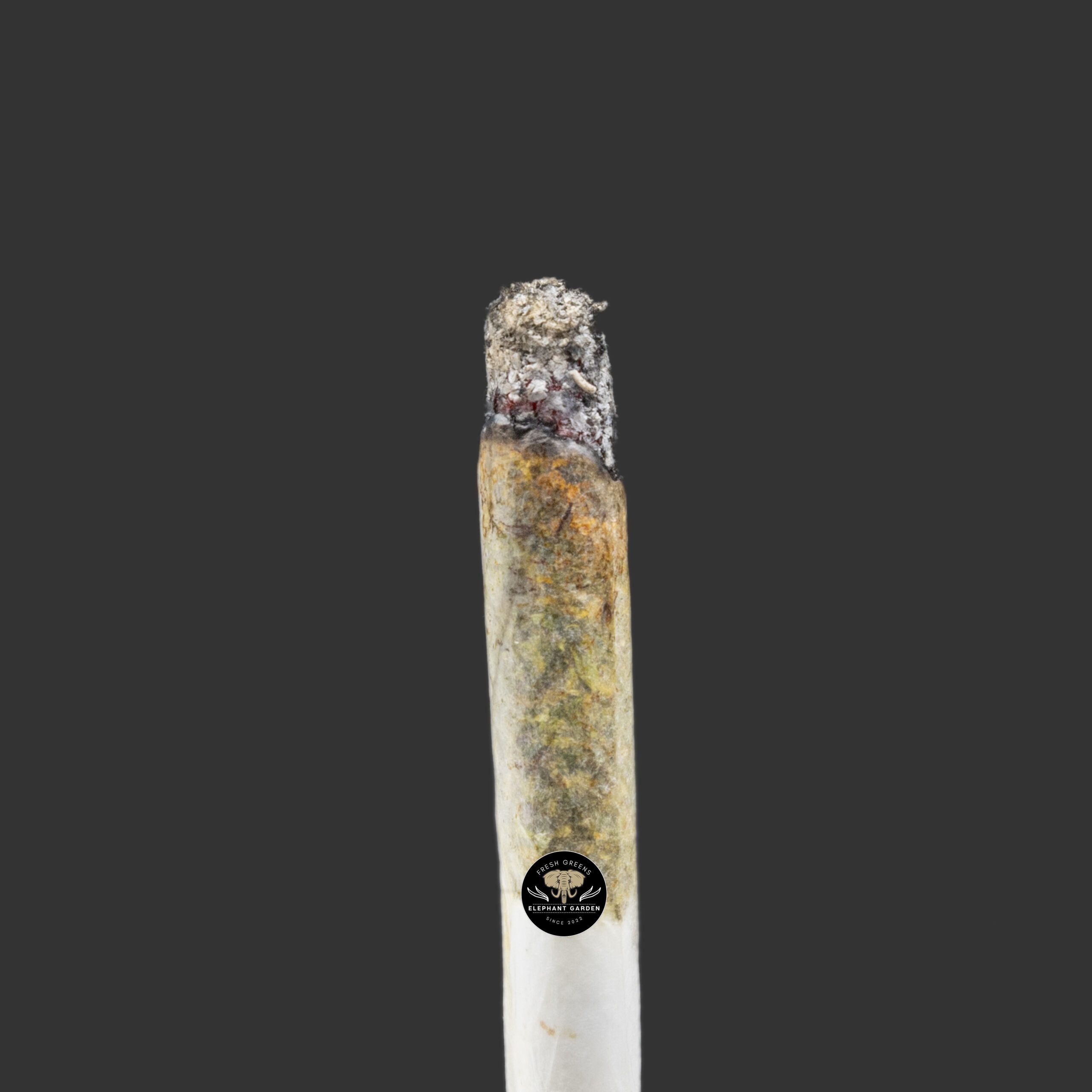 Buy Rockstar Bubba at Elephant Garden Co Weed Dispensary Burn Test