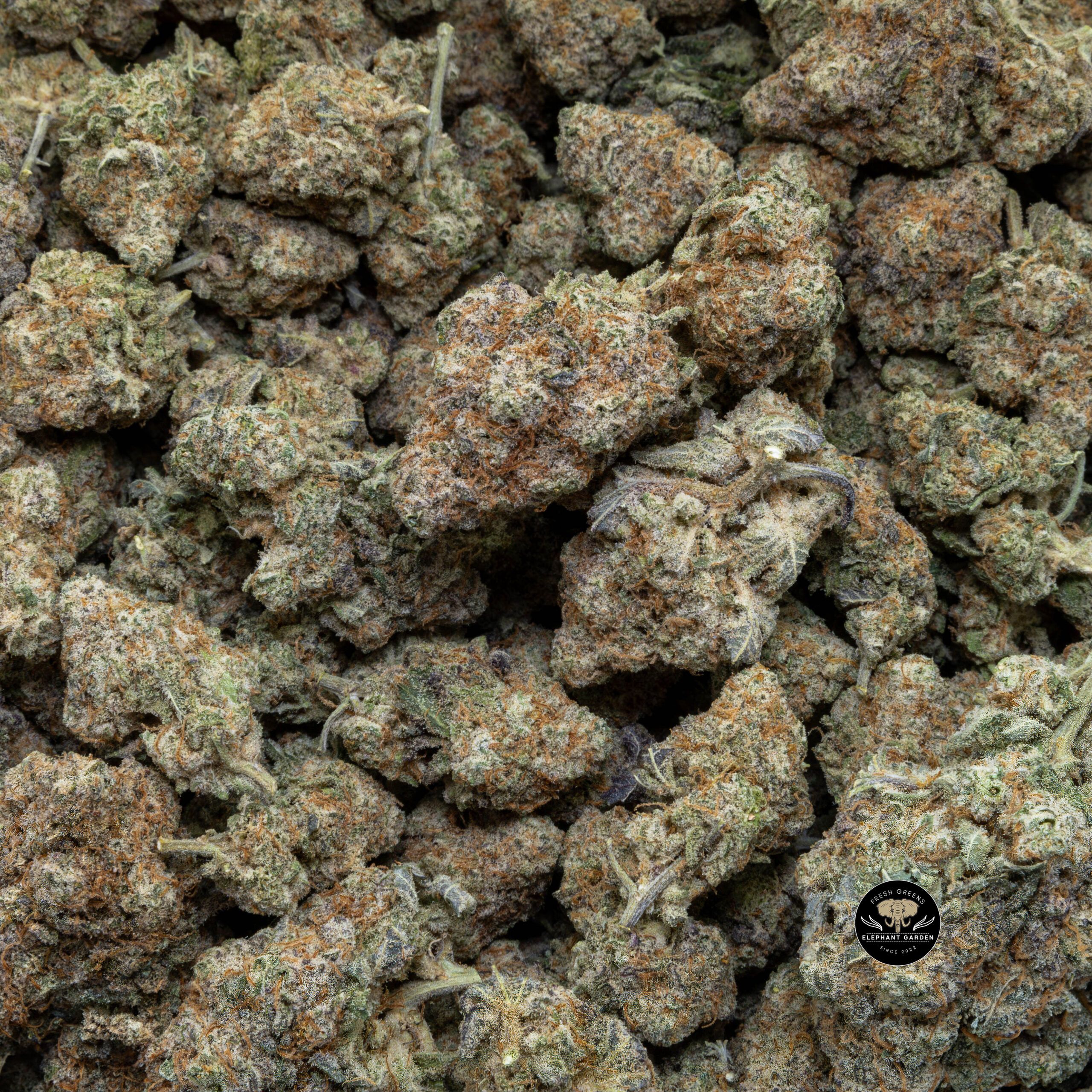 Buy Candy Mac (Bulk) at Elephant Garden Co Weed Dispensary Bulk 2 30 2024