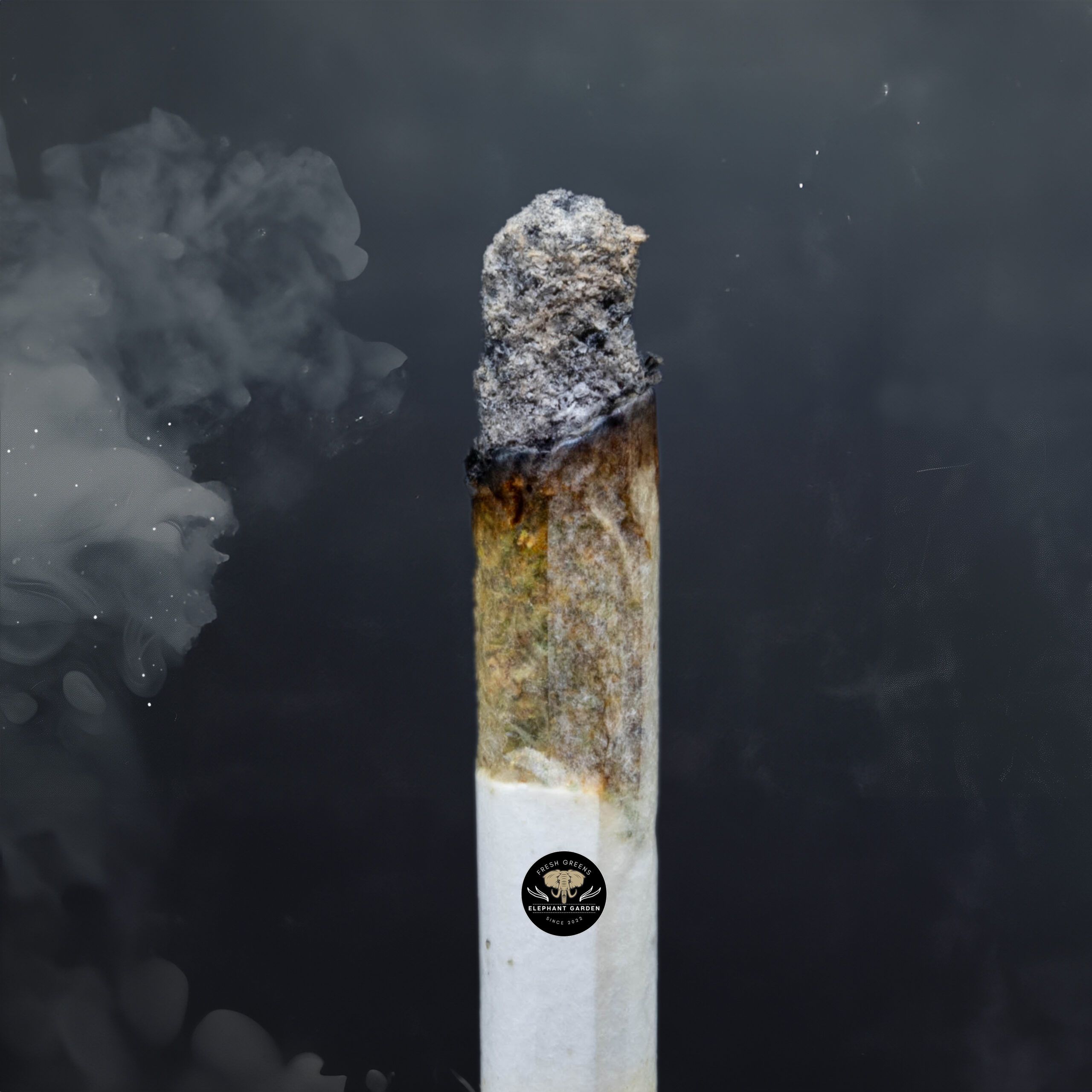 Buy Candy Mac at Elephant Garden Co Weed Dispensary Burn Test 2 1 2024