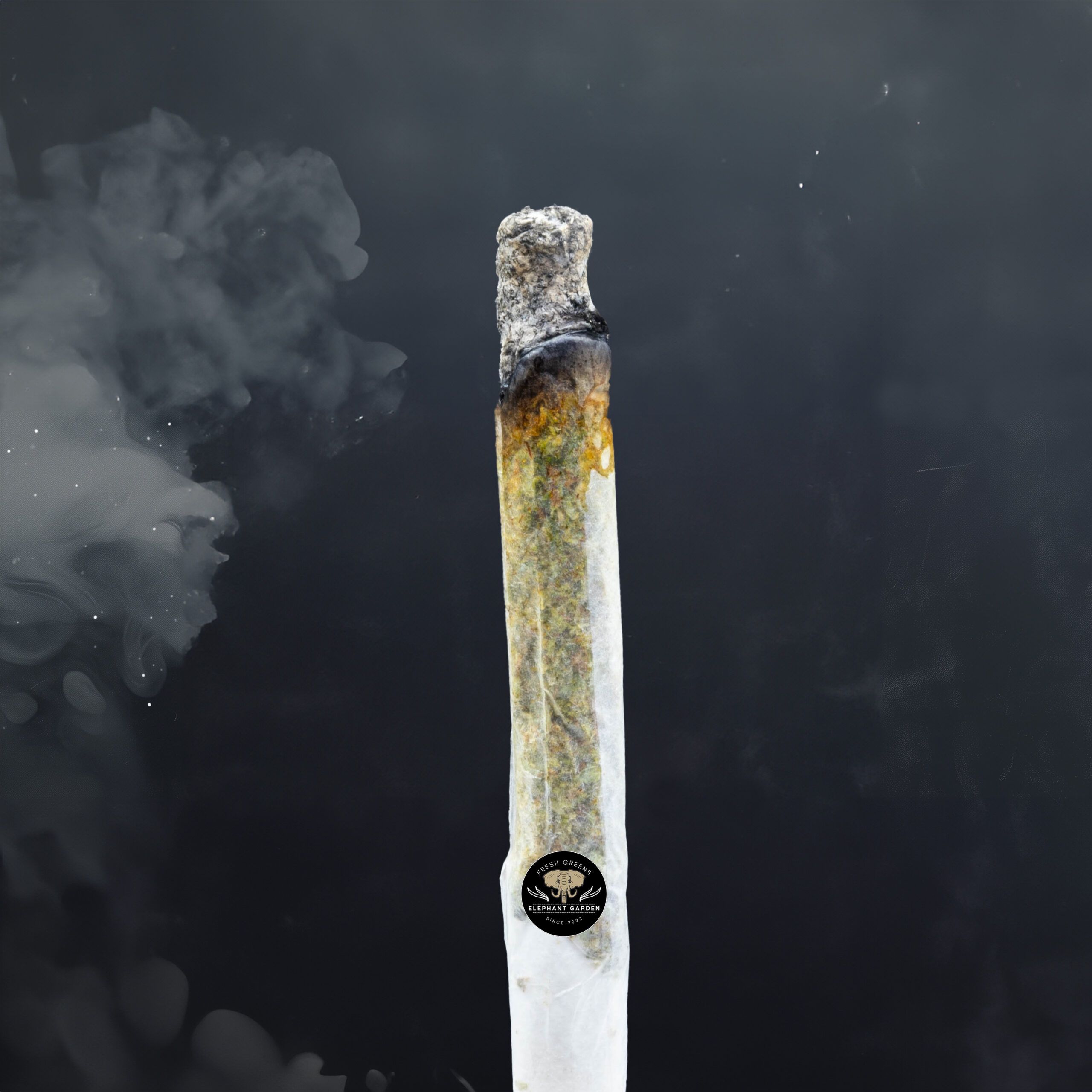 Buy Gelato at Elephant Garden Co Weed Dispensary Burn Test 1 20 2024
