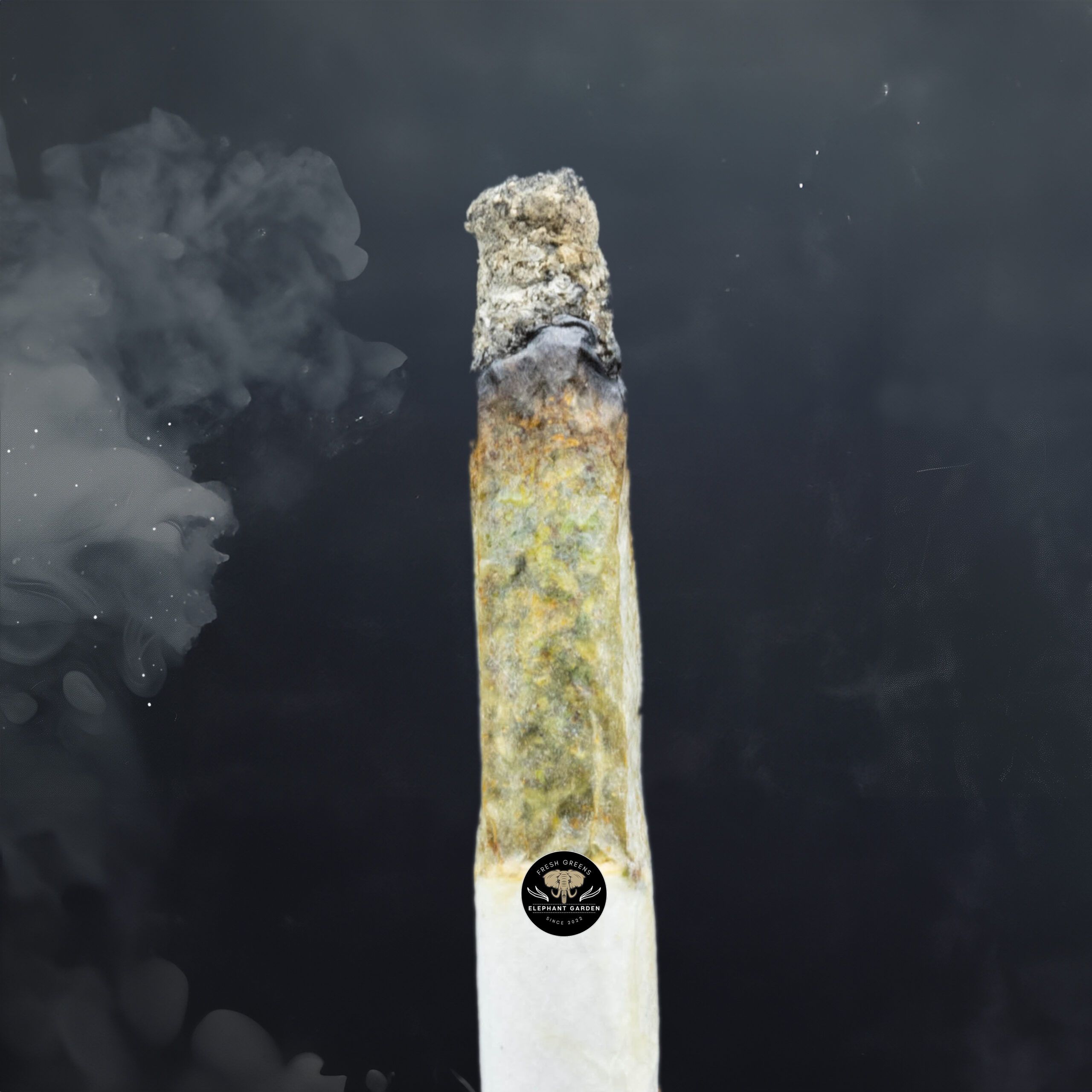 Buy Island Pink at Elephant Garden Co Weed Dispensary Burn Test 1 30 2024