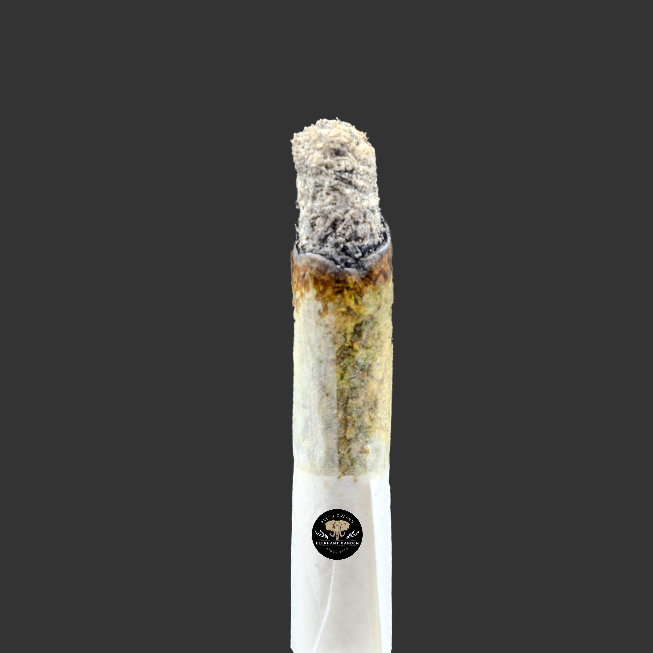 Buy Peach Ringz at Elephant Garden Co Weed Dispensary Burn Test 10_28_2023 2