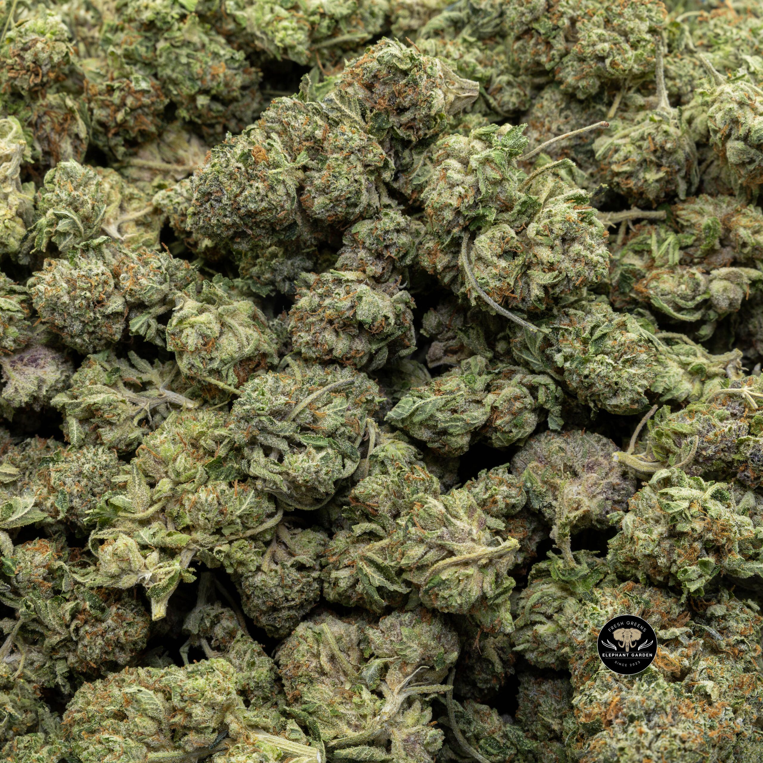 Buy Pink Kush Smalls at Elephant Garden Co Weed Dispensary Bulk 11_22_2023 3