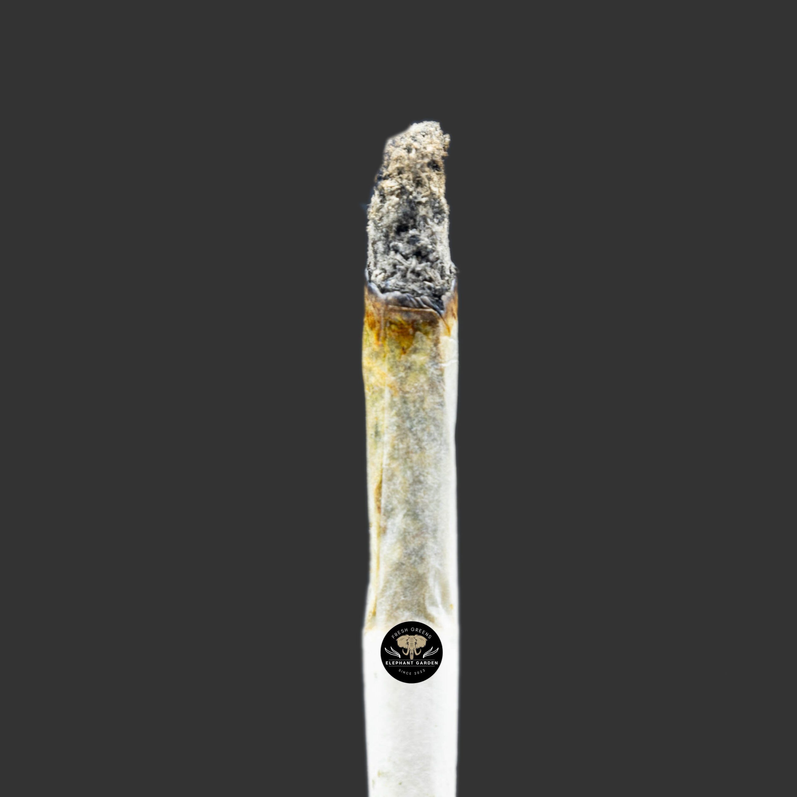 Buy Pink Kush at Elephant Garden Co Weed Dispensary Burn Test 11_22_2023 2