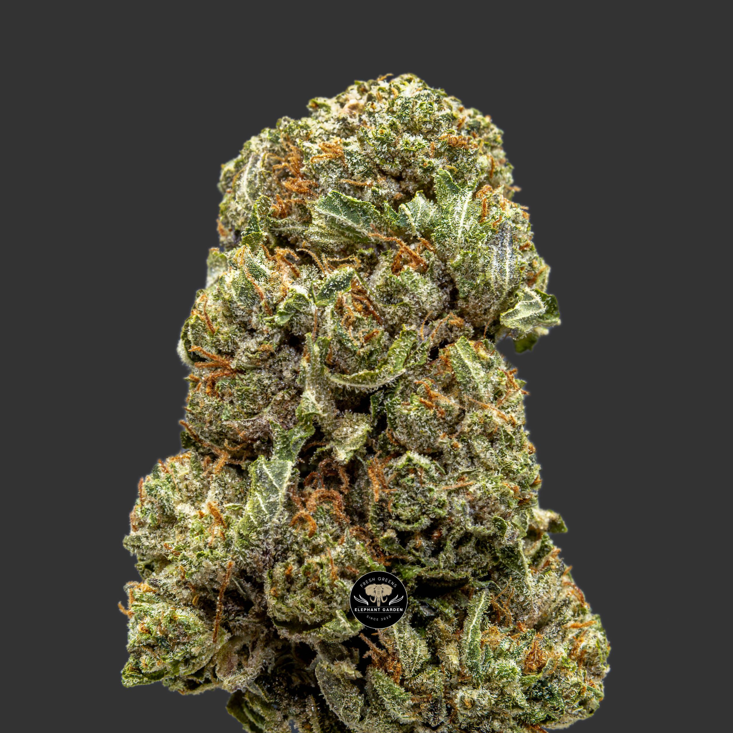 Buy Pink Kush at Elephant Garden Co Weed Dispensary Close 11_22_2023 3