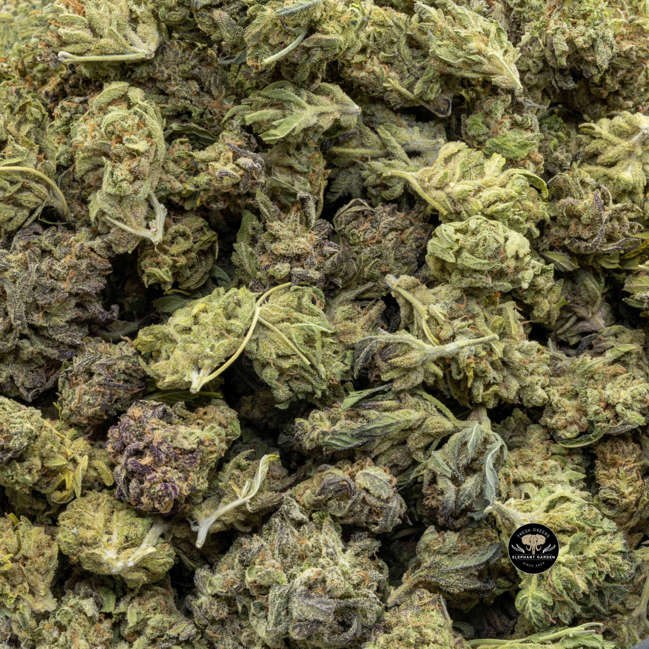 Buy Vanilla Kush at Elephant Garden Co Weed Dispensary Bulk 1 5 2024