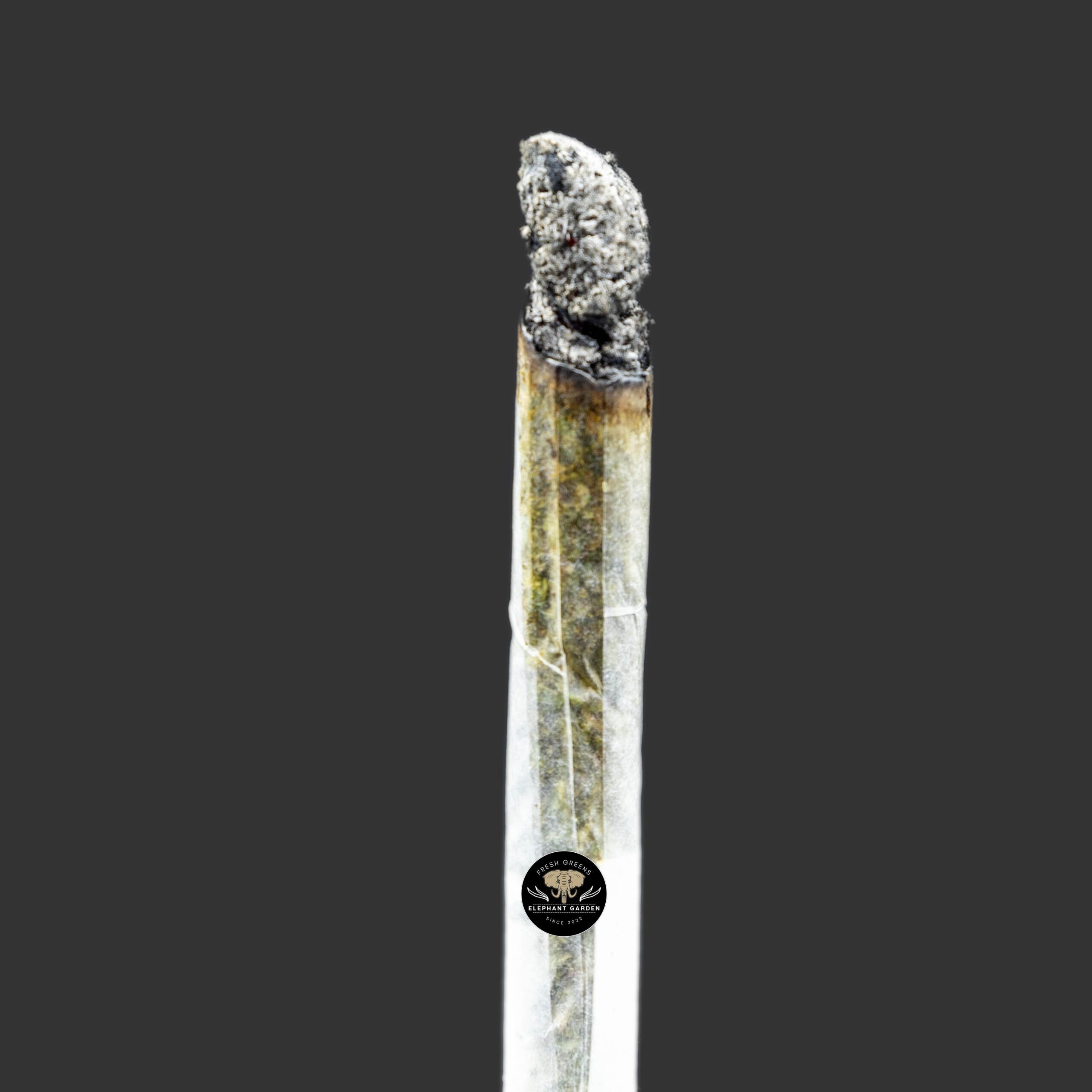 Buy Animal Gas at Elephant Garden Co Weed Dispensary Burn Test 11_30_2023 2