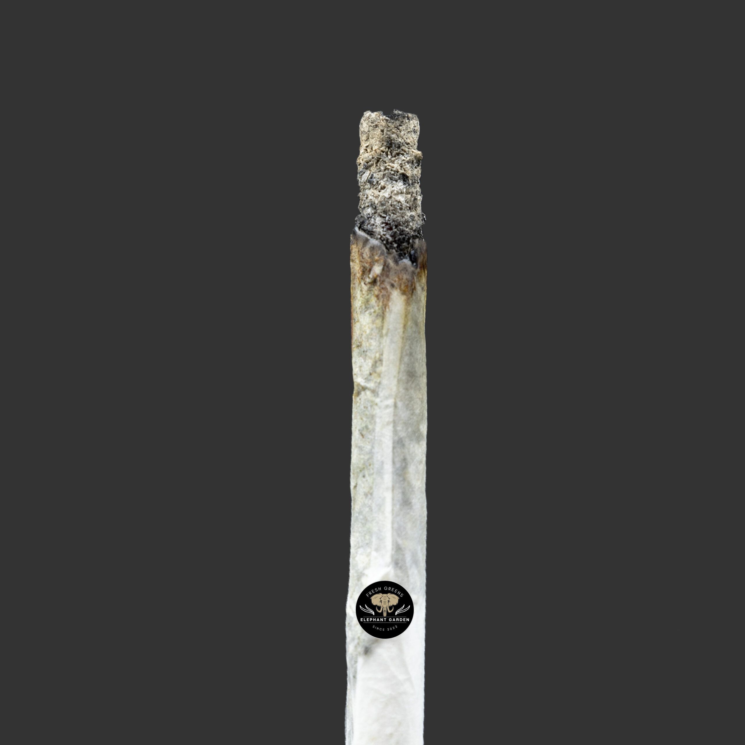 Buy Pink Wagyu at Elephant Garden Co Weed Dispensary Burn Test 11 21 2023
