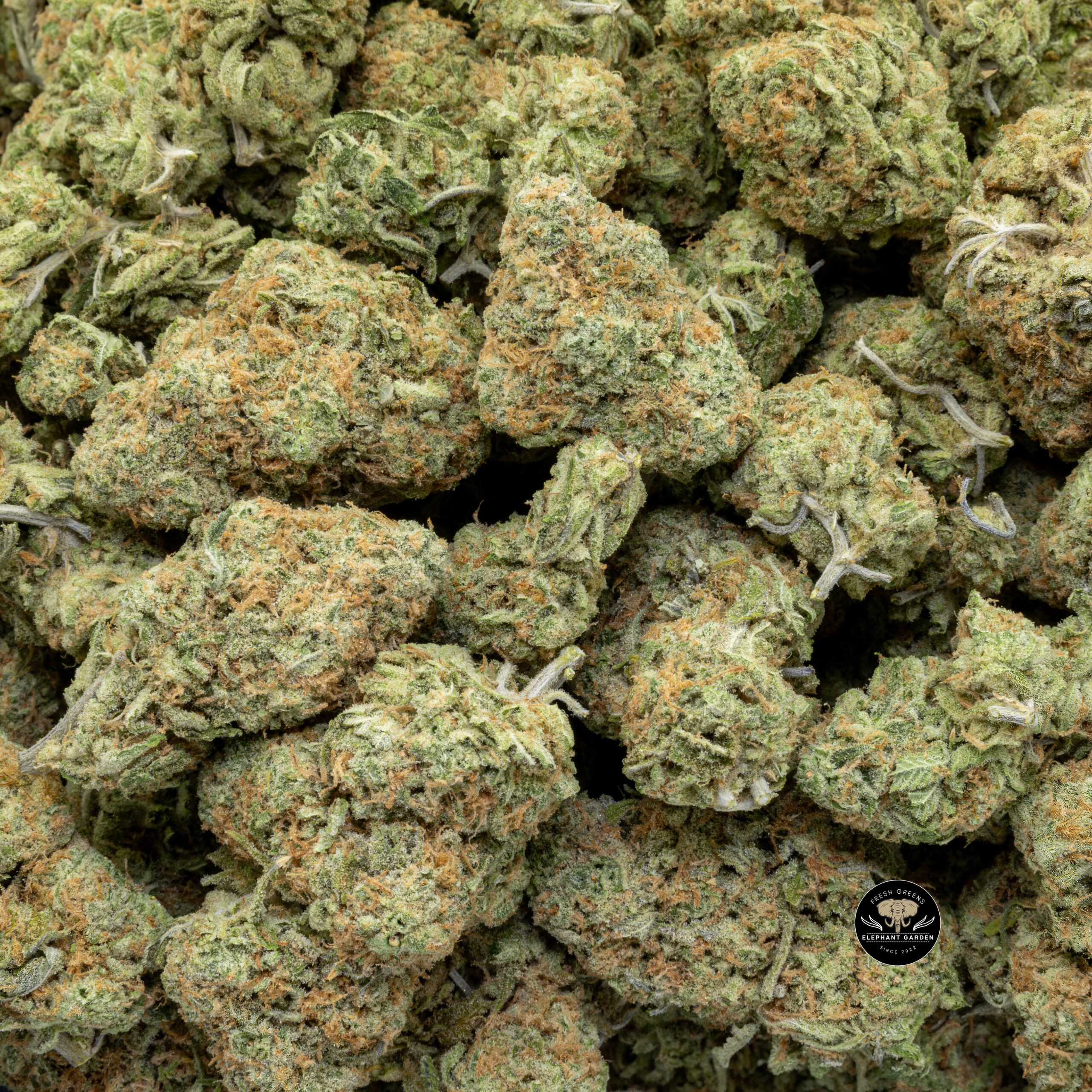 Buy Zombie OG (Bulk) at Elephant Garden Co Weed Dispensary Bulk 12 28 2023