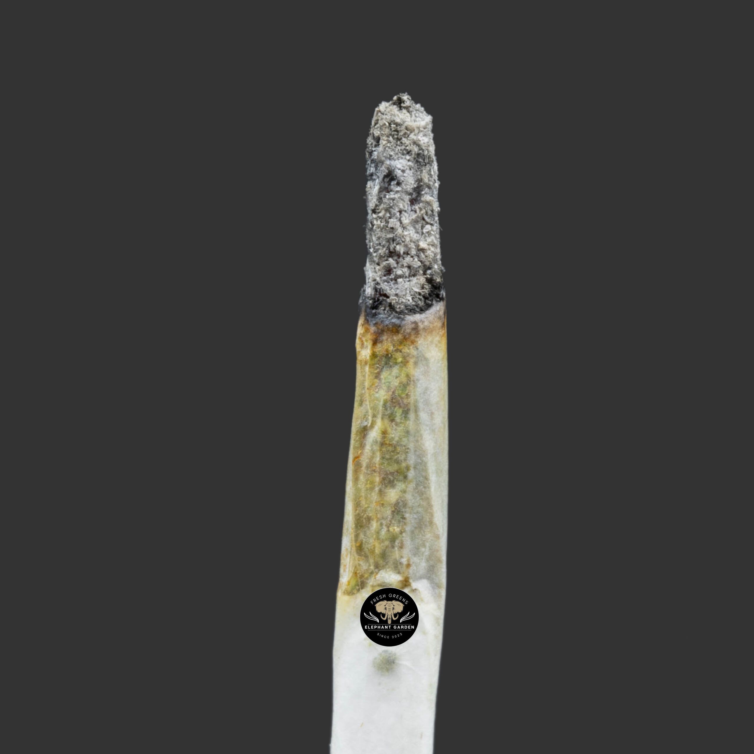 Buy Zombie OG at Elephant Garden Co Weed Dispensary Burn Test 12 28 2023