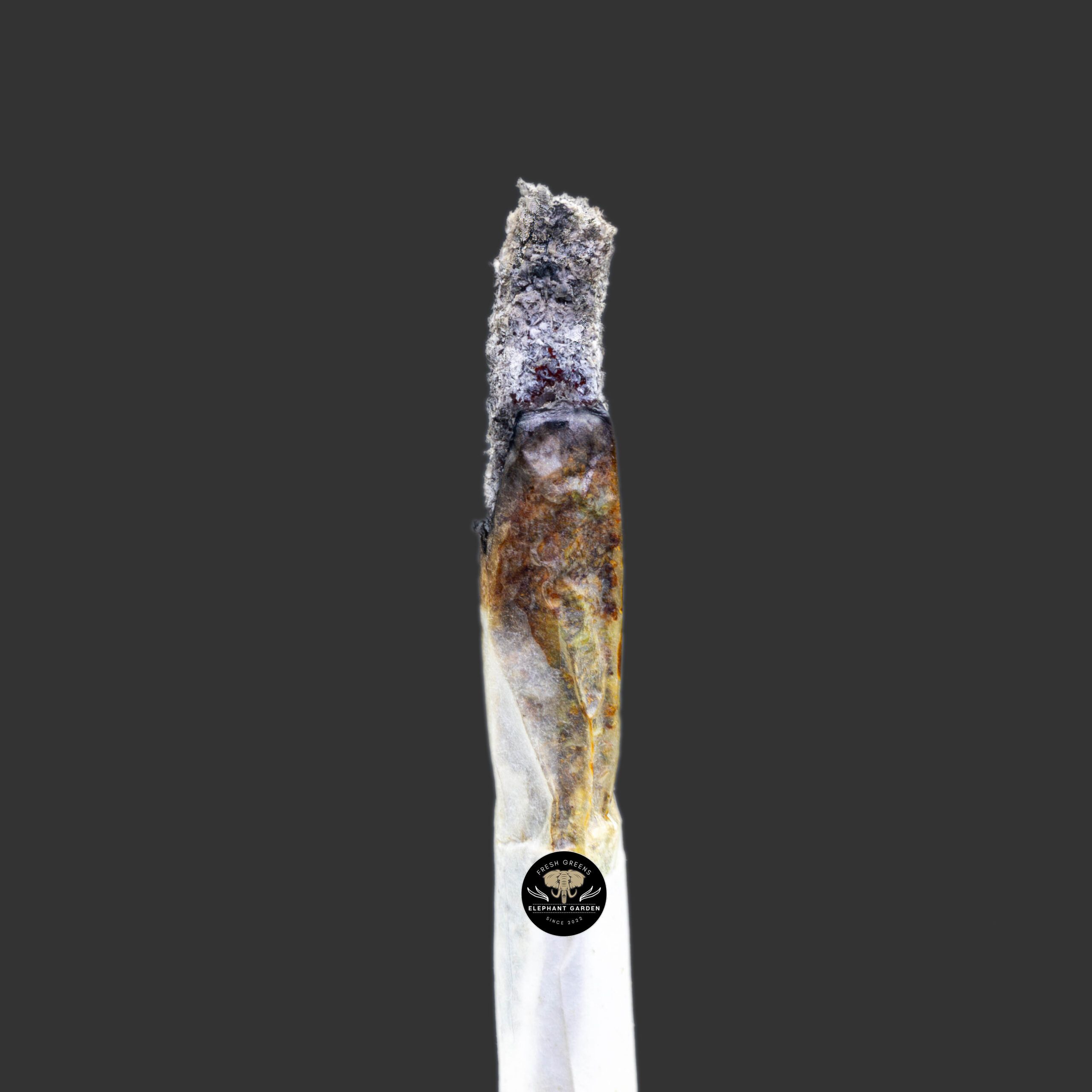 Buy Sundae Driver at Elephant Garden Co Weed Dispensary Burn Test 12 7 2023