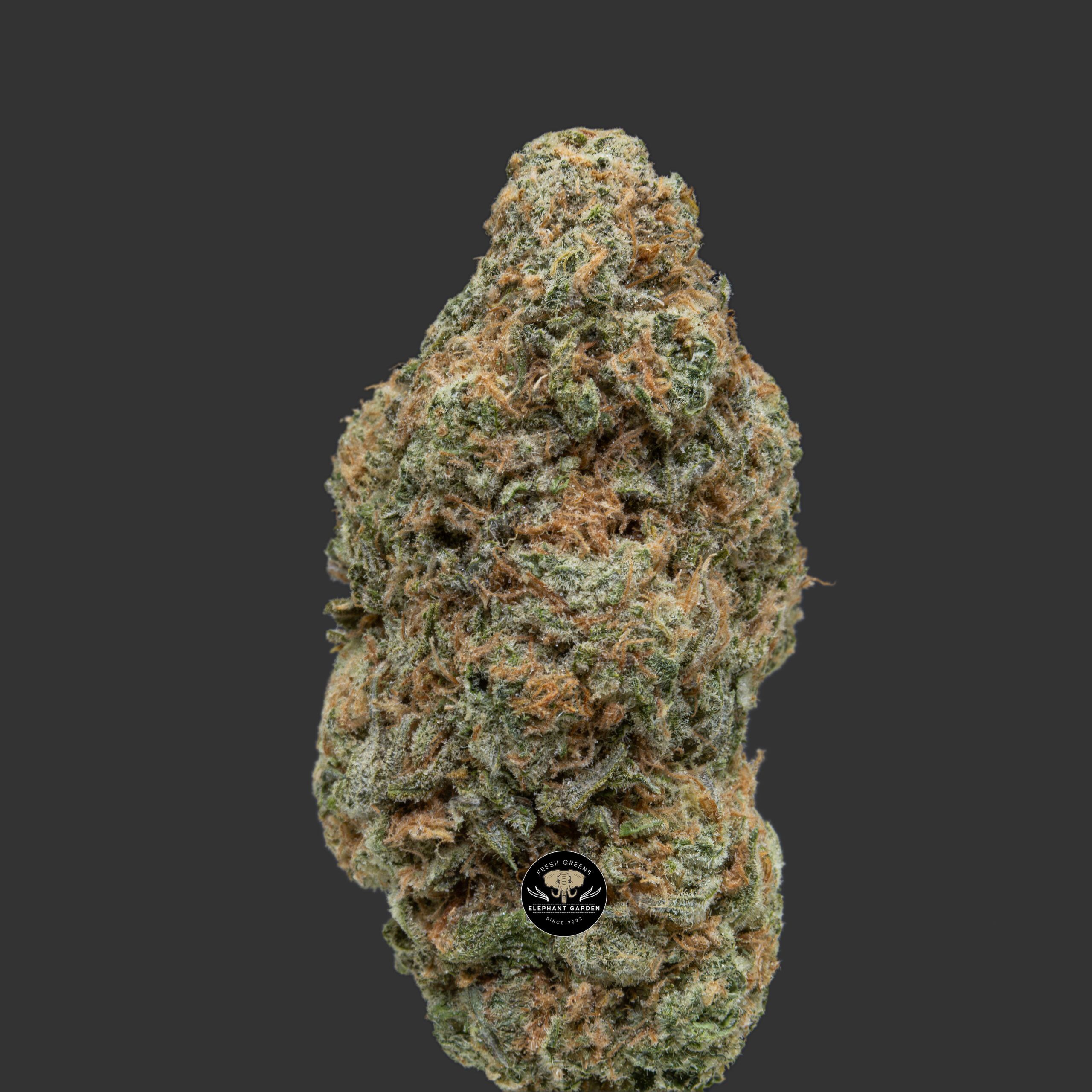 Buy Zombie OG at Elephant Garden Co Weed Dispensary Close 12 28 2023