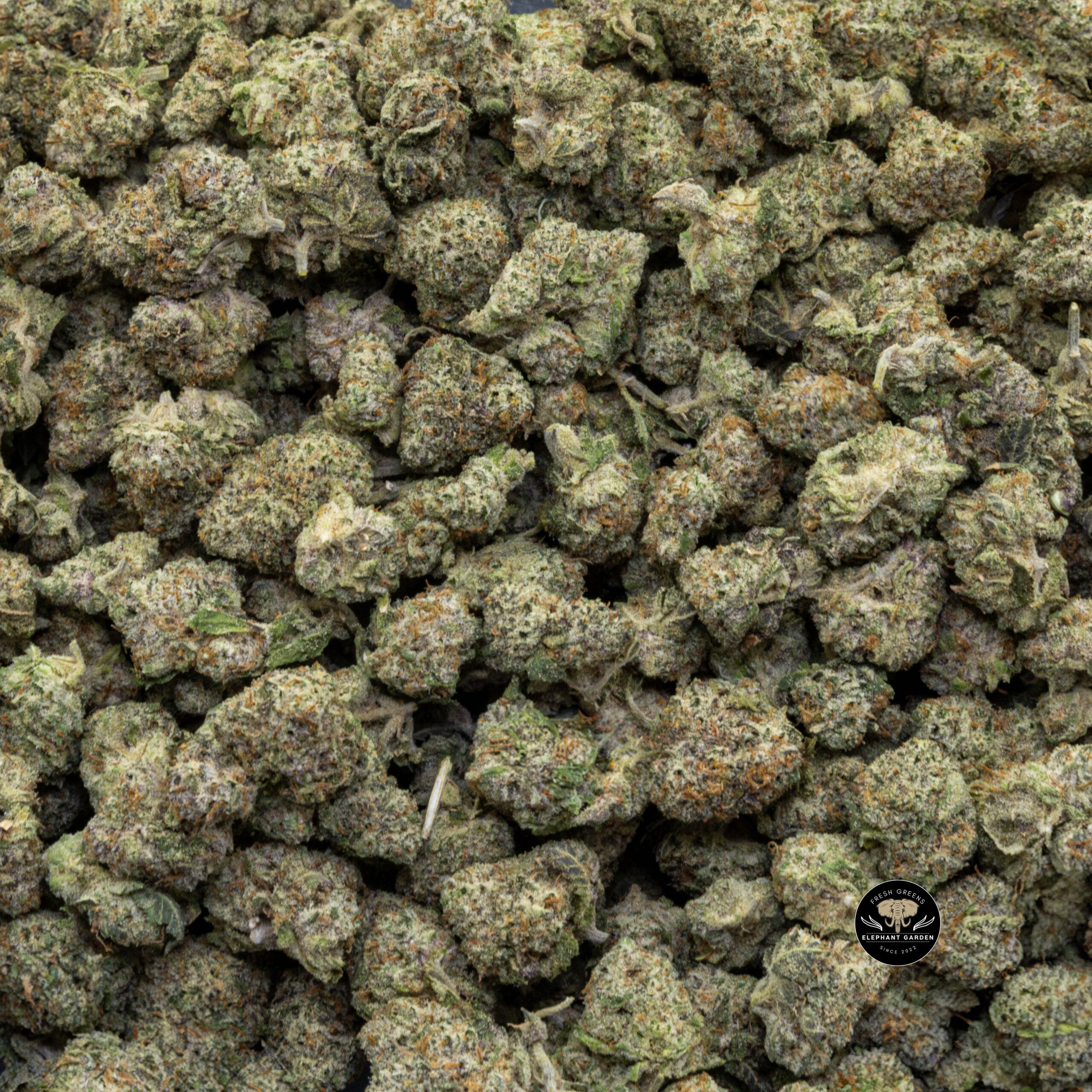 Buy Space Cake Popcorn at Elephant Garden Co Weed Dispensary Bulk 1 8 2024