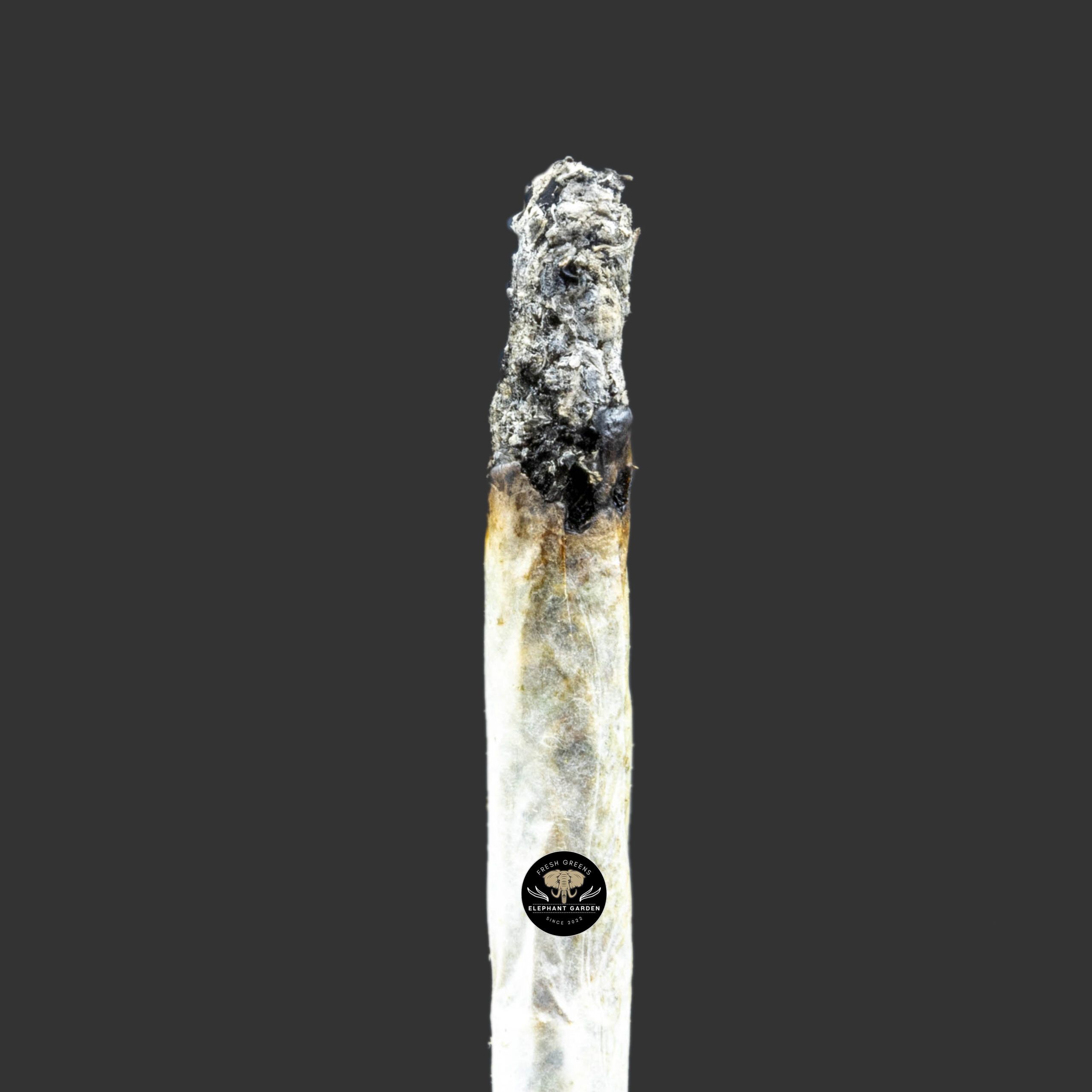 Buy Vanilla Kush at Elephant Garden Co Weed Dispensary Burn Test 1 8 2024