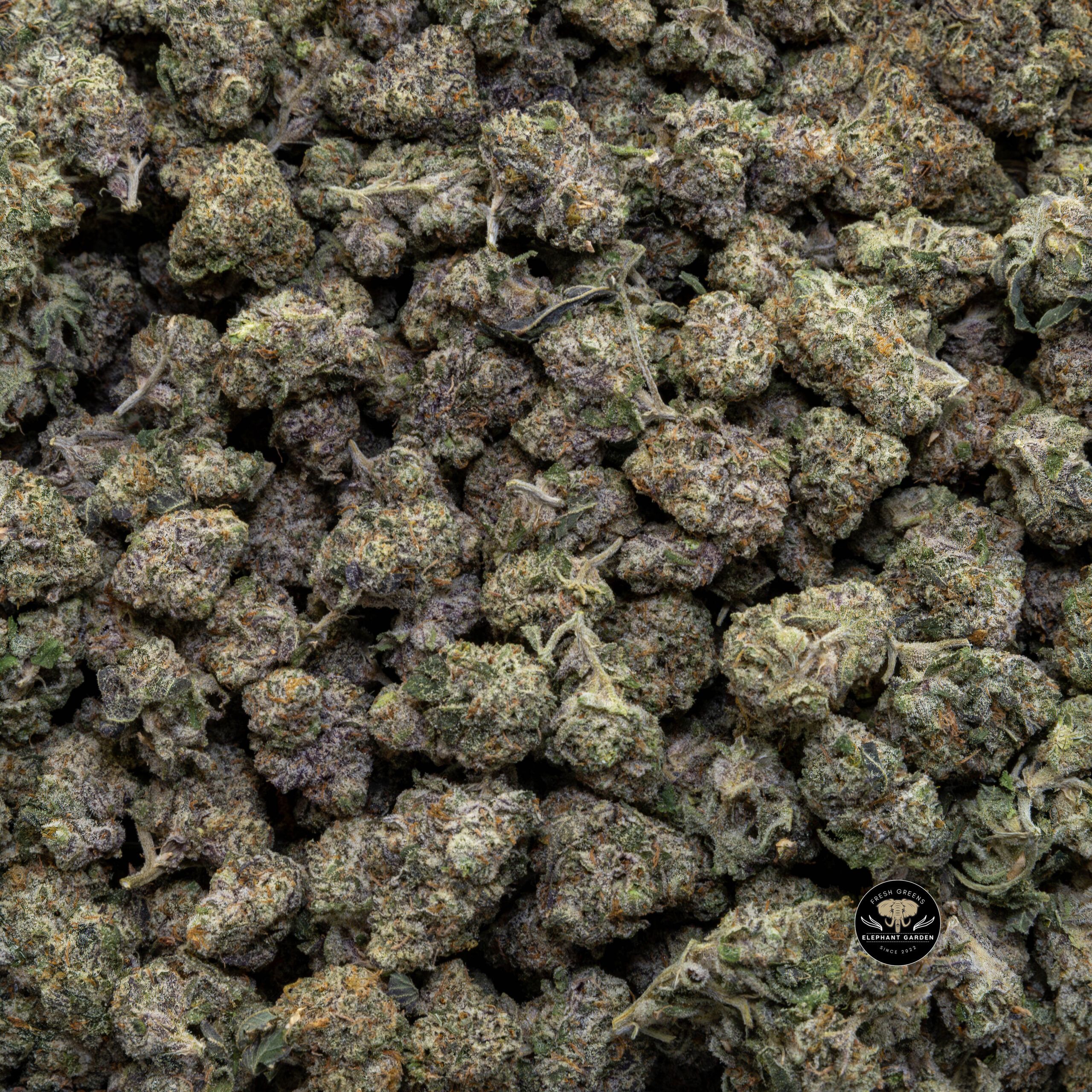 Buy Gas Face Popcorn (Bulk) at Elephant Garden Co Weed Dispensary Bulk 2 30 2024
