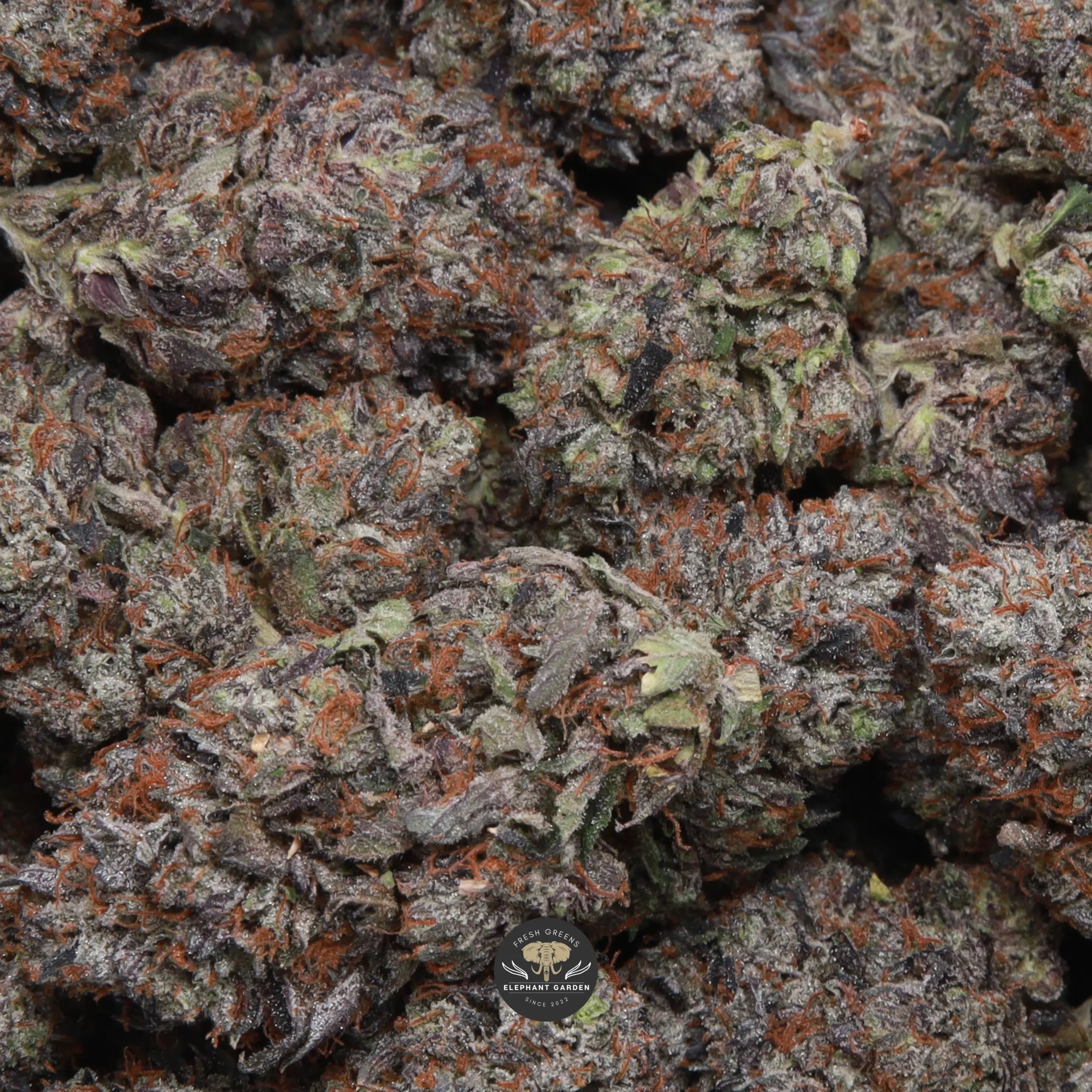 Death Ultra indica flower — gallery image 1