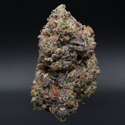 Death Star gas single bud elephant garden may 2026
