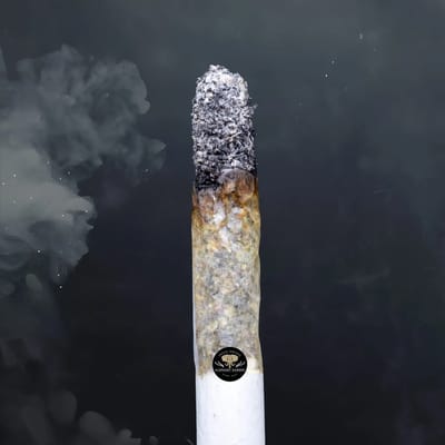 Buy Organic Pink at Elephant Garden Co Weed Dispensary Burn Test 8 7 2024 2