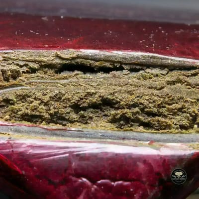 Buy Kabul at Elephant Garden Co Weed Dispensary Burn 11 13 24