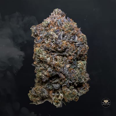 Buy Death Walker at Elephant Garden Co Weed Dispensary Float 3 11 25 2