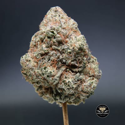 Buy Weed Online in Canada Donkey Butter bud