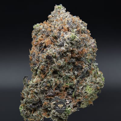 Supreme Death Bubba AAAA