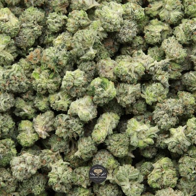 Pink Kush Popcorn AAA+