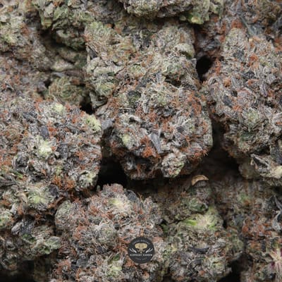 Black Tuna (gas) AAAA indica flower — multiple bud gallery image