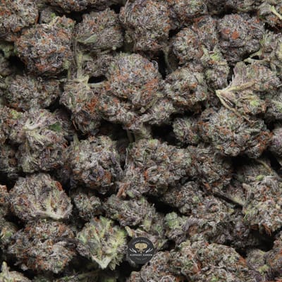 Cali Octane Popcorn indica popcorn flower — close-up of frosty gassy popcorn buds