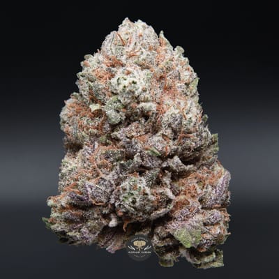 Cherry Gorilla AAA+