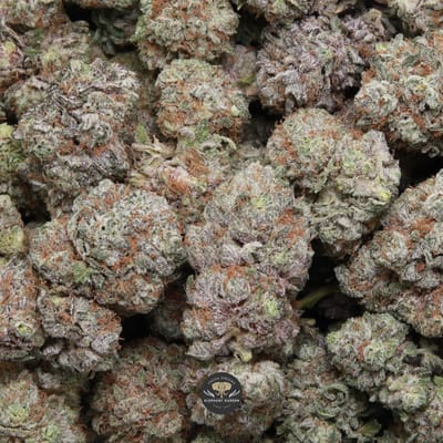 Cherry Gorilla (sweet cherry) AAA+ hybrid flower — multiple bud gallery image