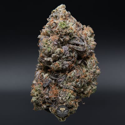 Death Star gas single bud elephant garden may 2026