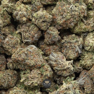 Ghost Rider OG indica flower — close-up product photo