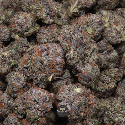 Organic Pink indica flower — dense frosty bud with pink pistils